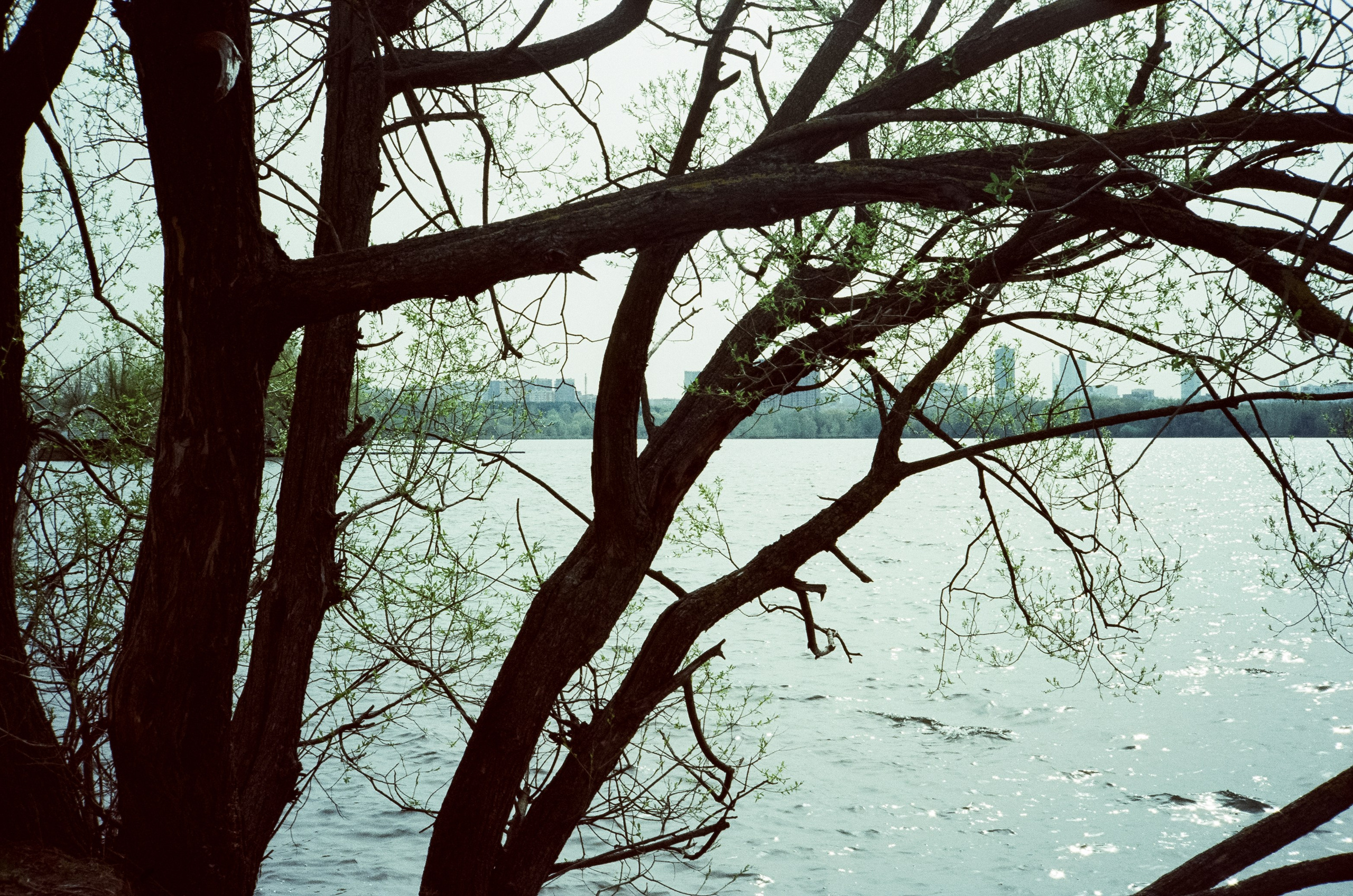 Ricoh 500GS / SFL 200T / Строгино тестовая пленка апрель 2024 г