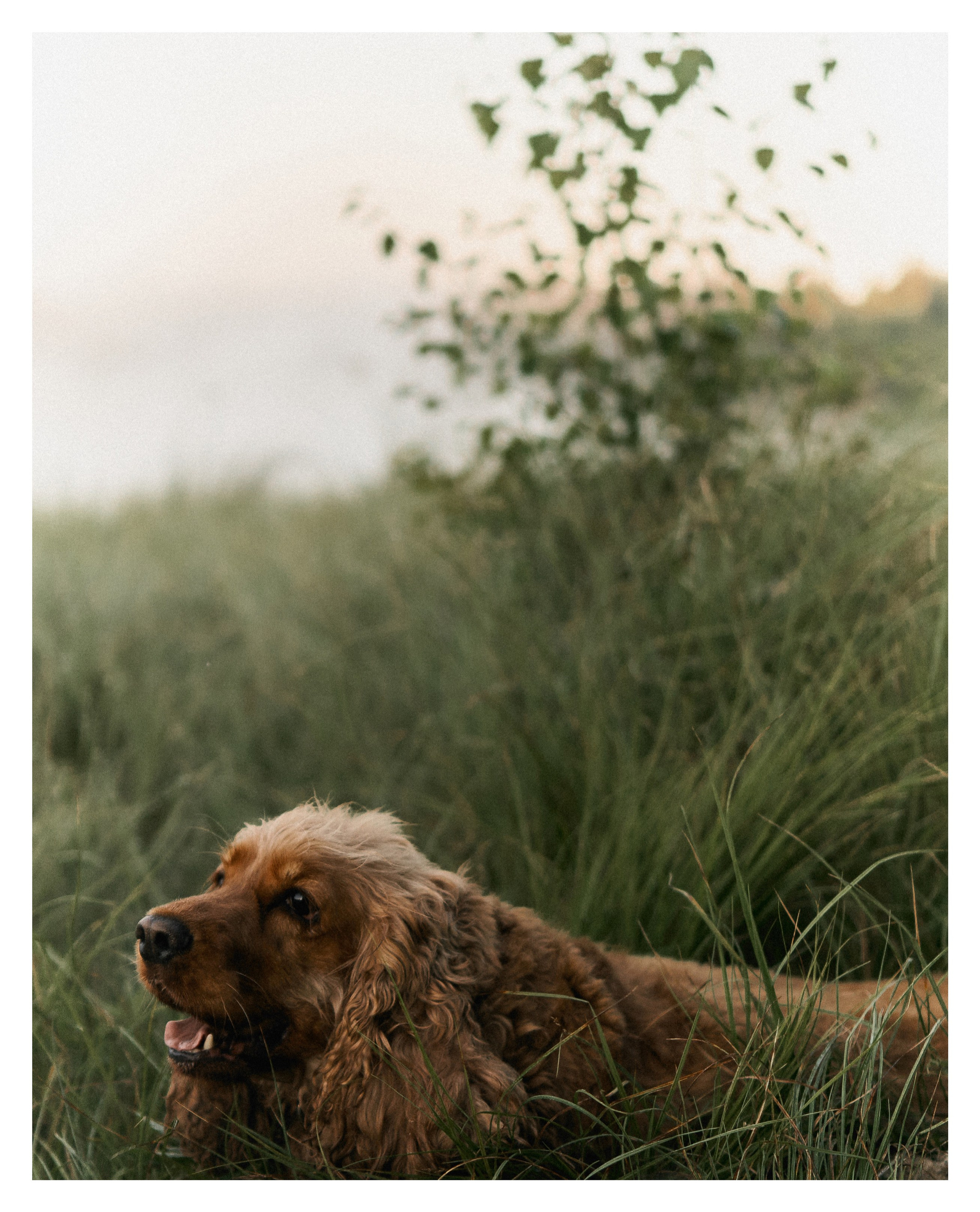Valentina. Индивидуальная и семейная фотосессия в Чебоксарах Оксана Русакова