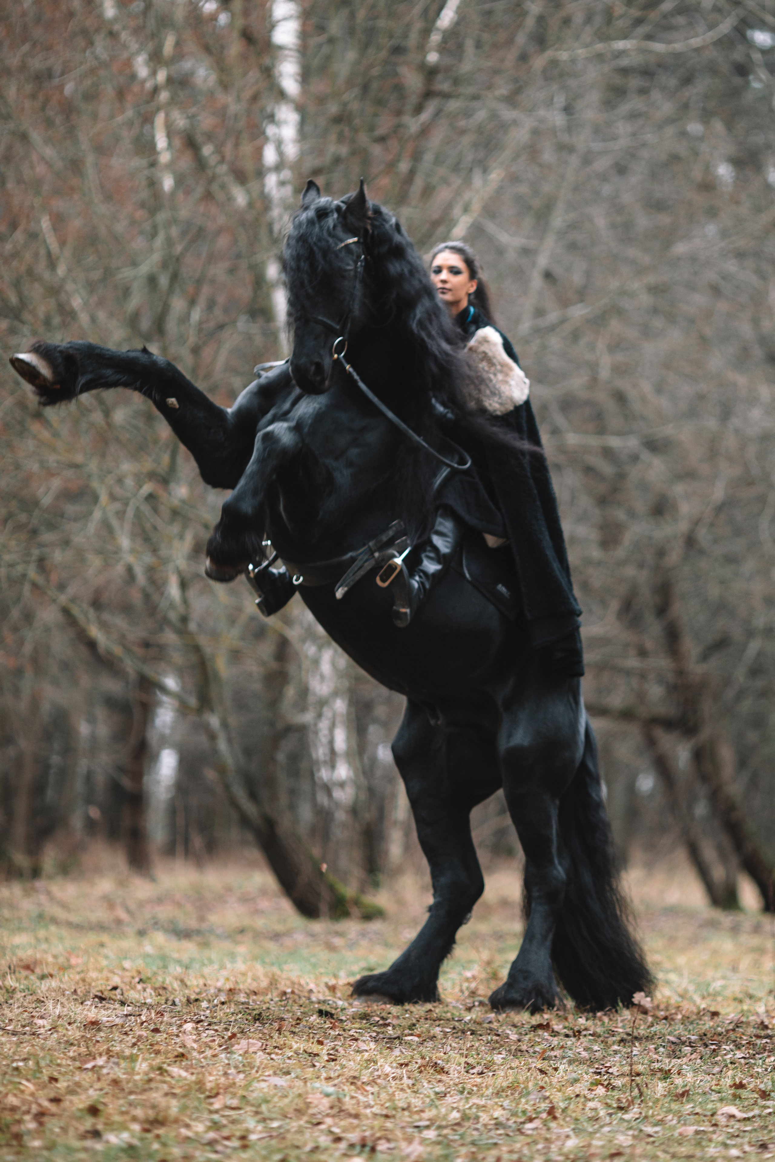 Наташа с фризом в костюме викинга. Фотосессии с лошадьми