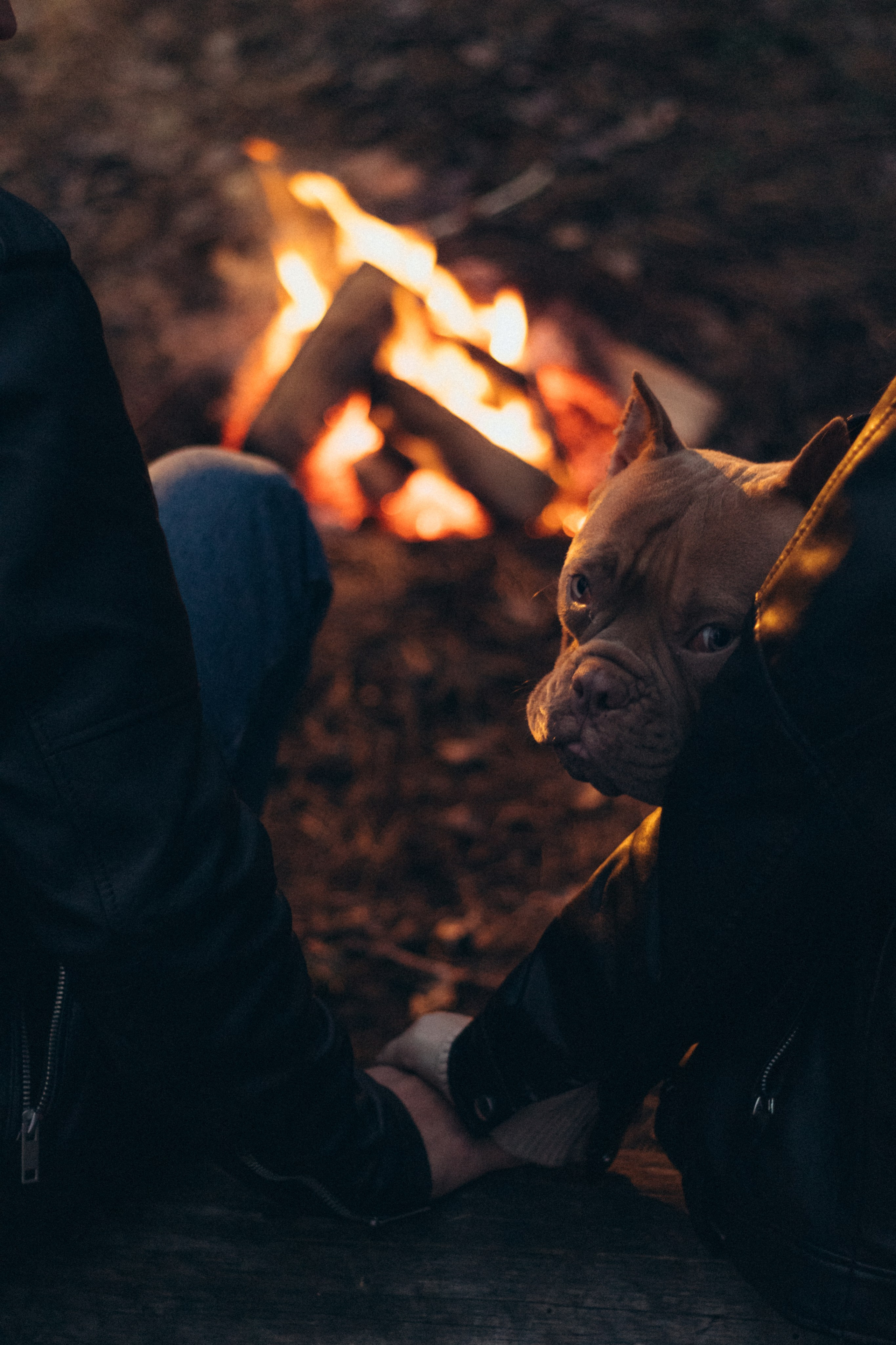 Семейные и Love Story. Фотограф, Липецк, Елец