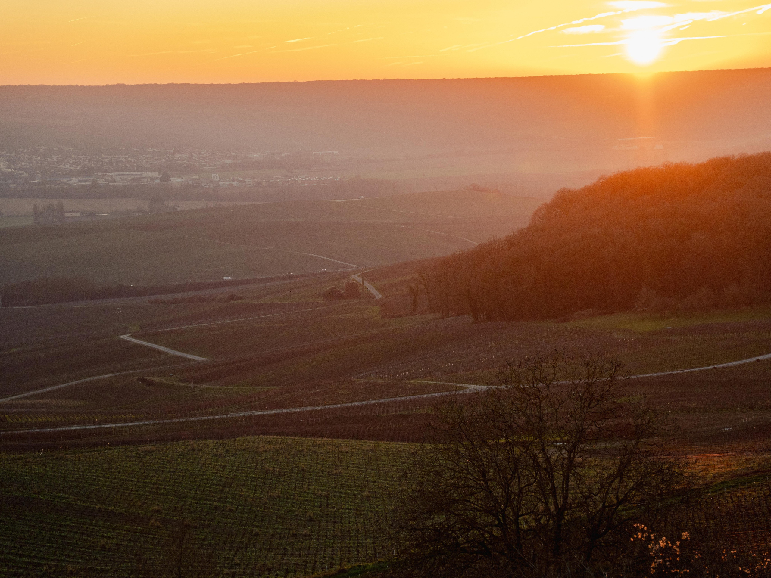 Champagne 2025. Фотограф в Крыму Алевтина Швец