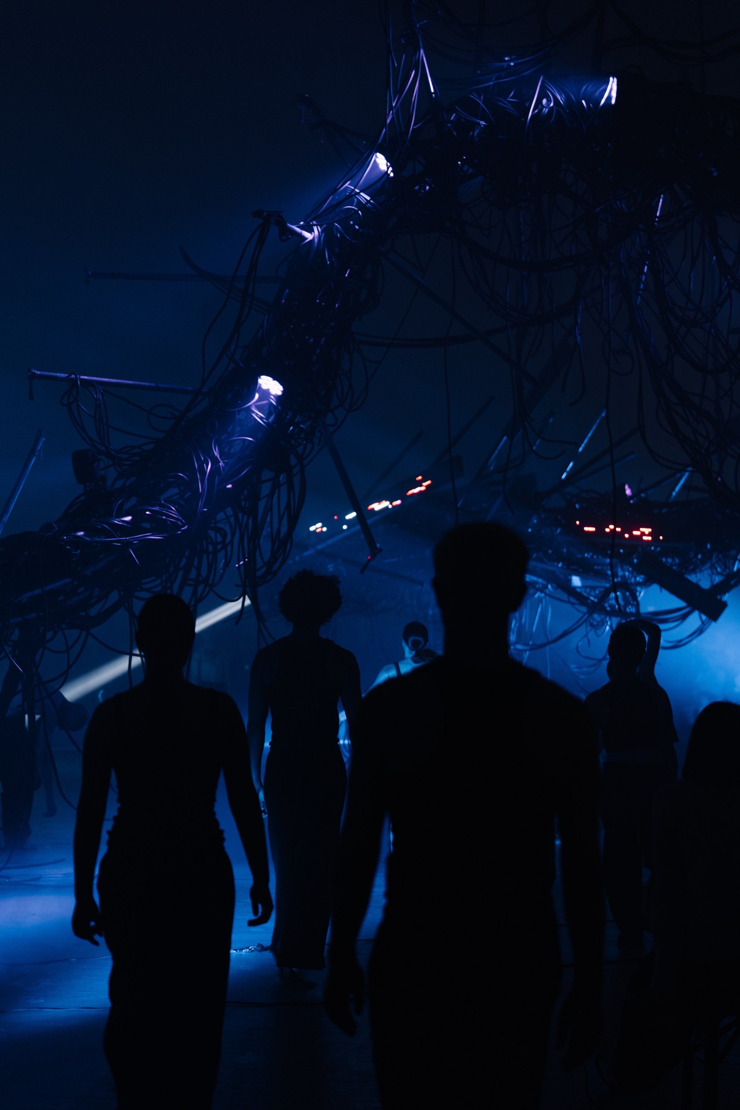 PERFORMA, The Hour of the Horse. @tomrus: Рустам Шагиморданов — фотограф