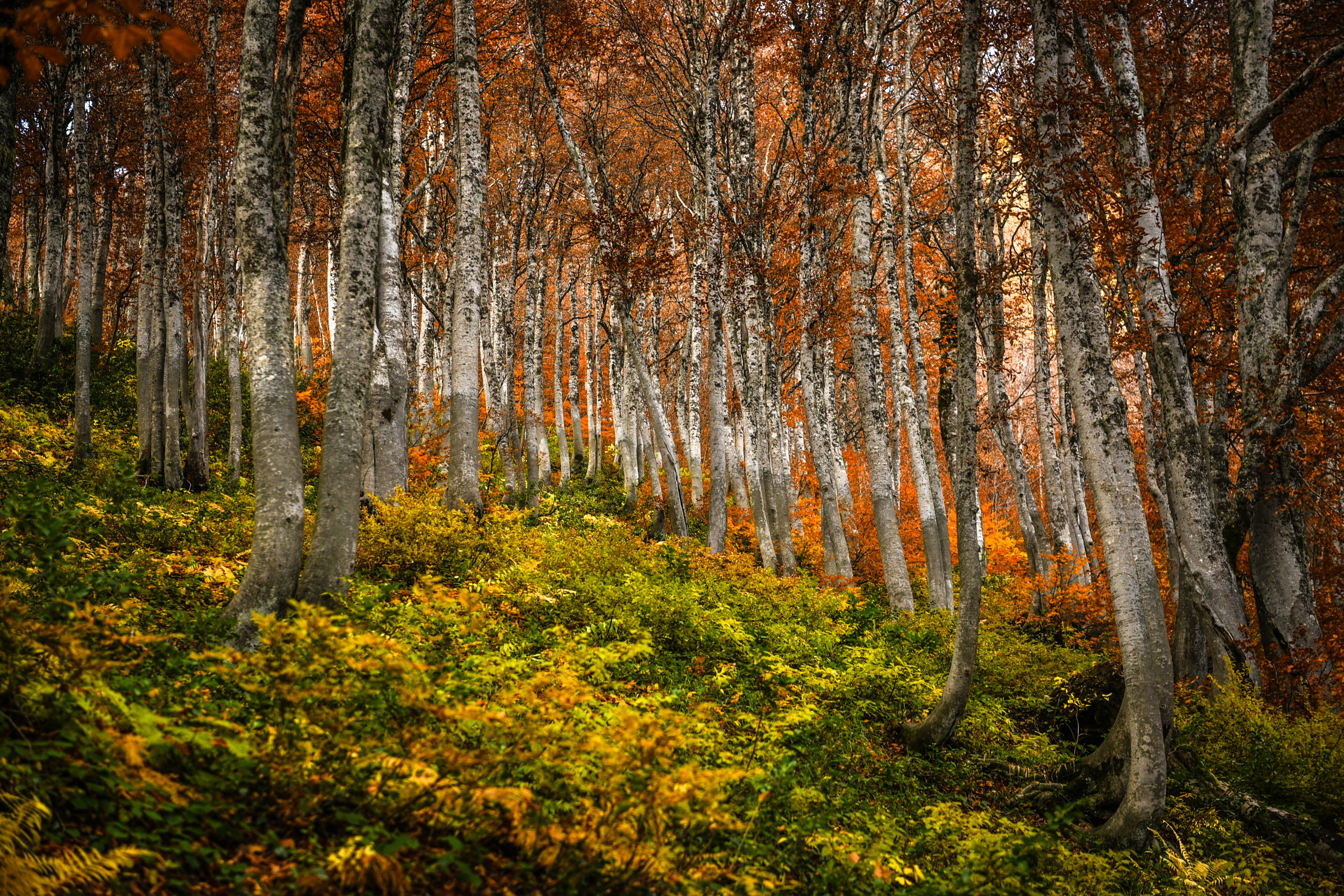 Landscapes. Anastasia Serdyuk, travel photographer, travel photo, portraits, stories, fineart prints