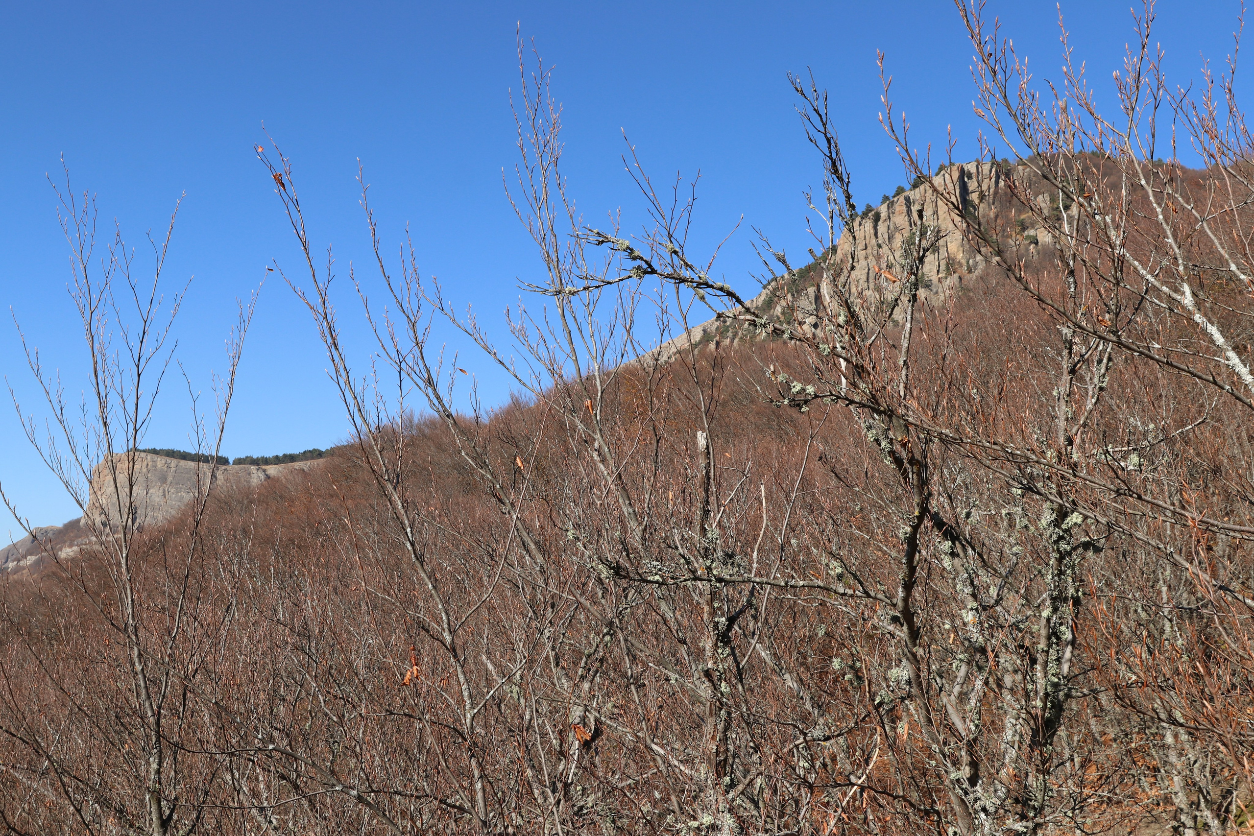 Крым. ЮБК (Гурзуф, Судак и их окрестности). Ноябрь 2023. Путешественник-фотограф из Санкт-Петербурга Татьяна Свистулина