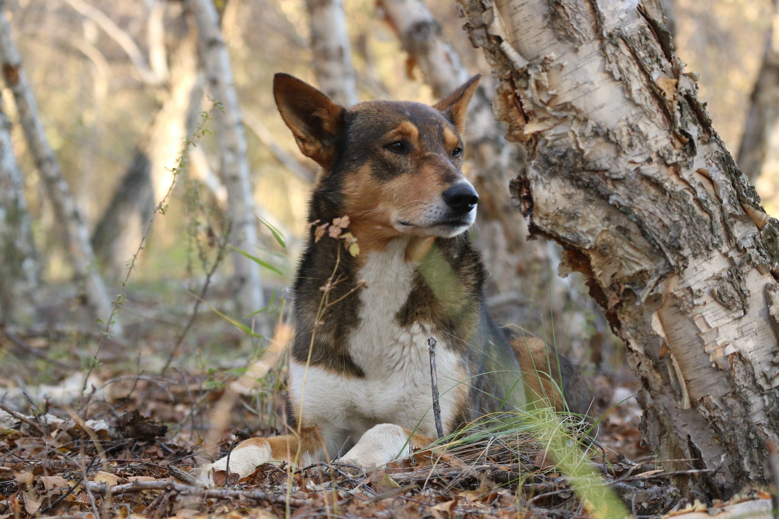Travels. Репортажный и тревел фотограф Мокеров А.С