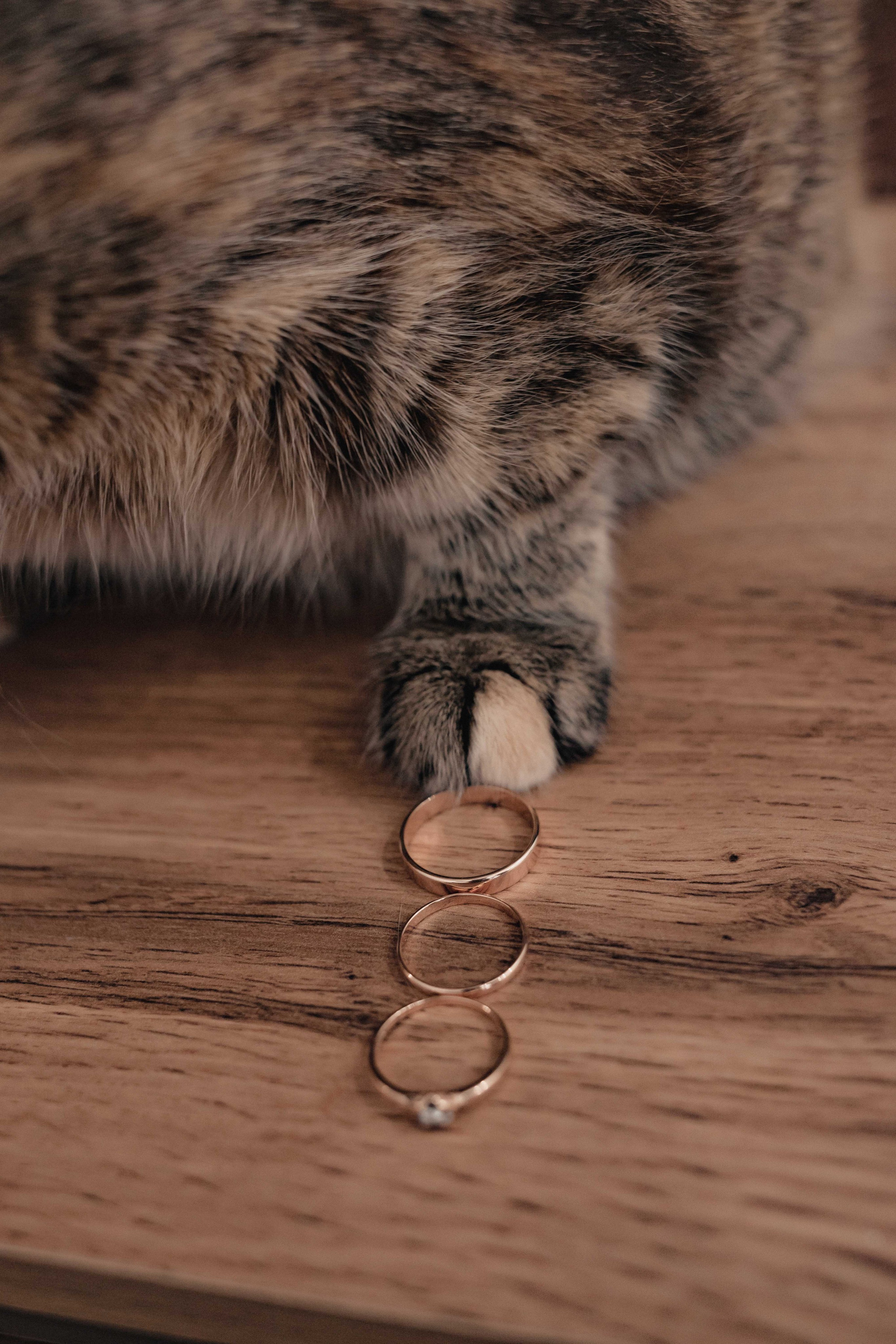 Дмитрий Евгения 15.09.23