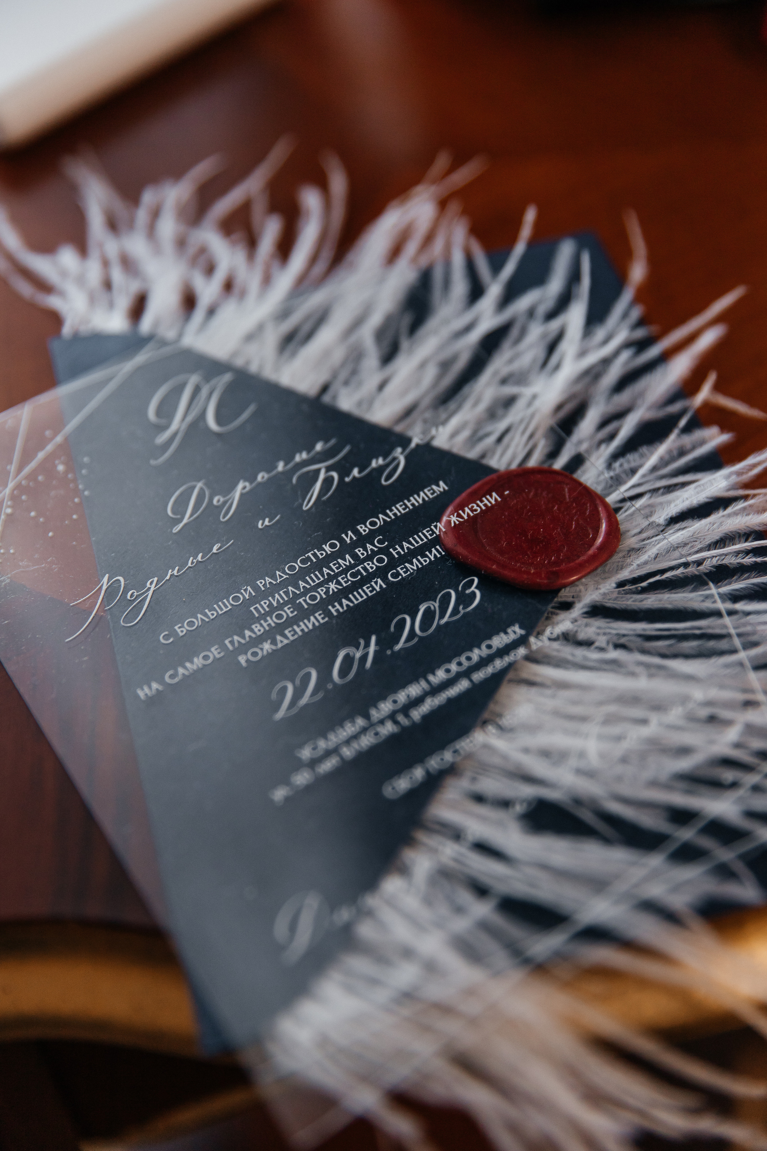 Лилия и Дмитрий. Семейный фотограф в Туле Яна Денисова — семейная фотосессия