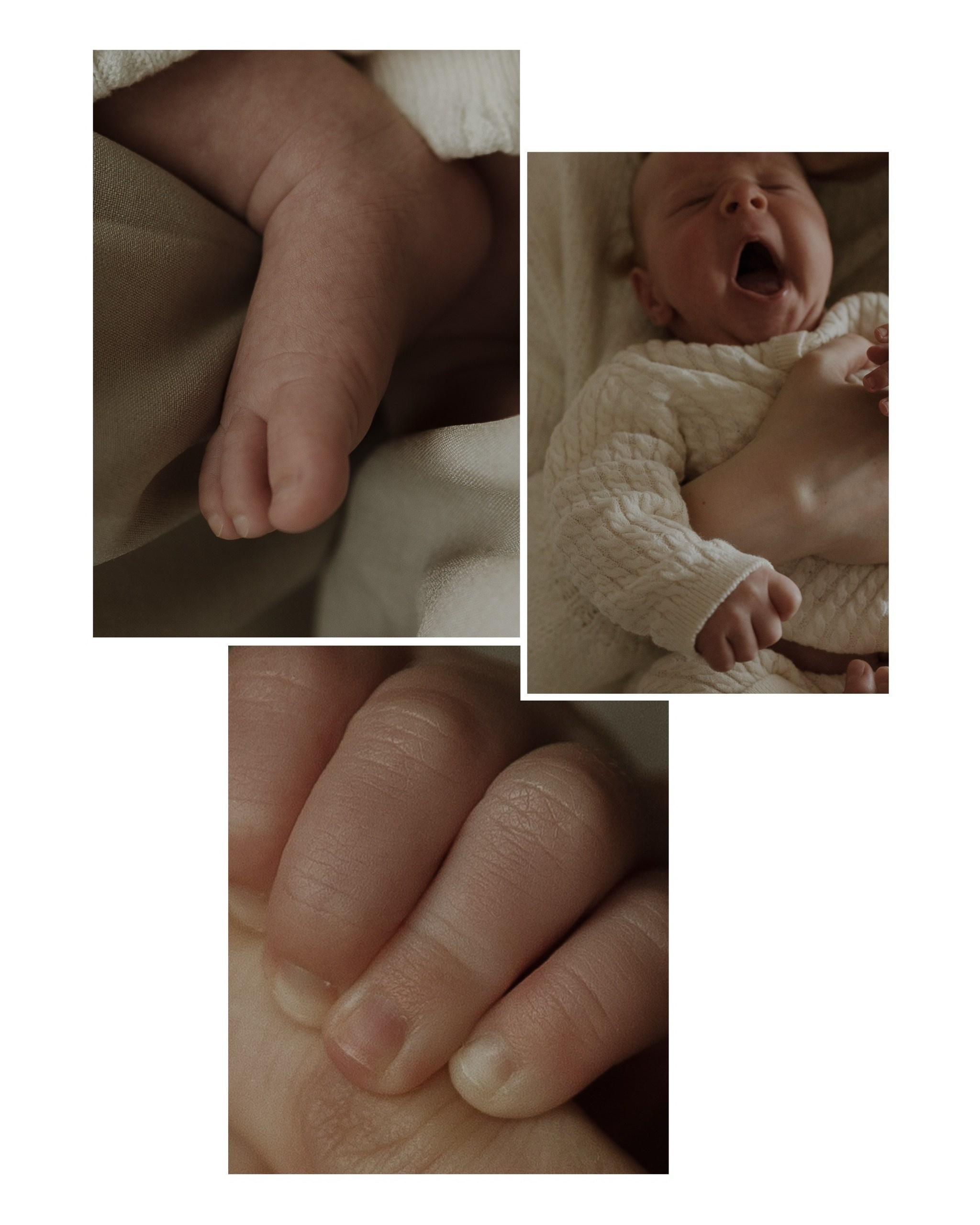 Семейные фотосесии 2025