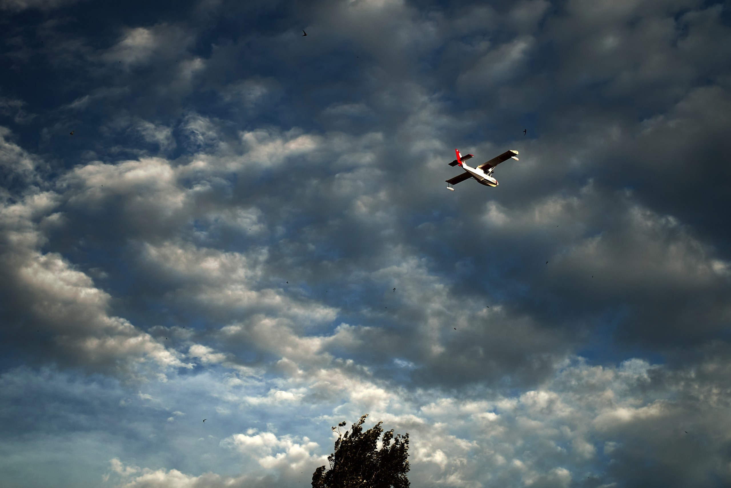 Культура. Фотограф Евгений Шаров