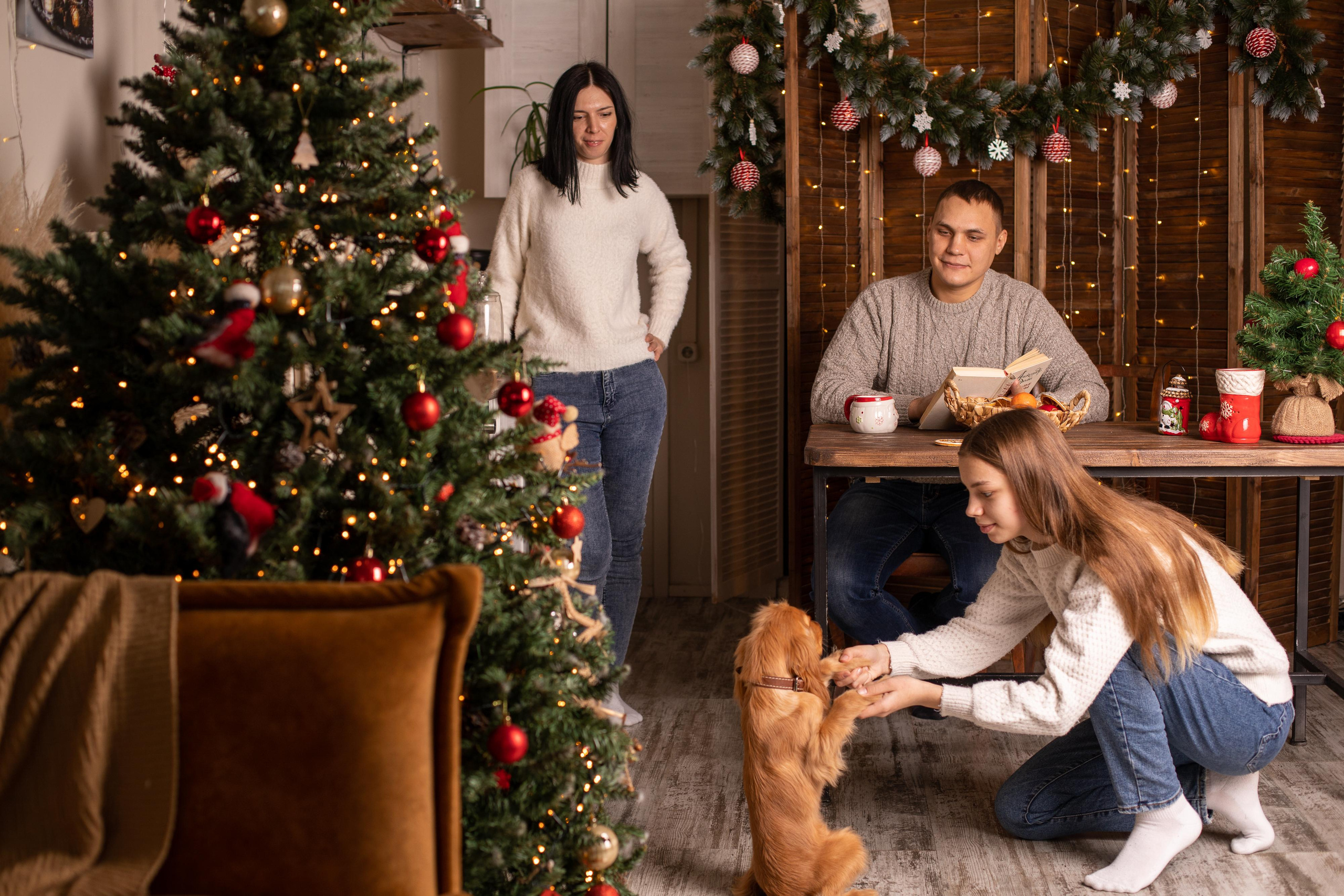 Семейная новогодняя съемка для Ирины и Влада. Женский семейный фотограф Тула Москва Захарова Анна