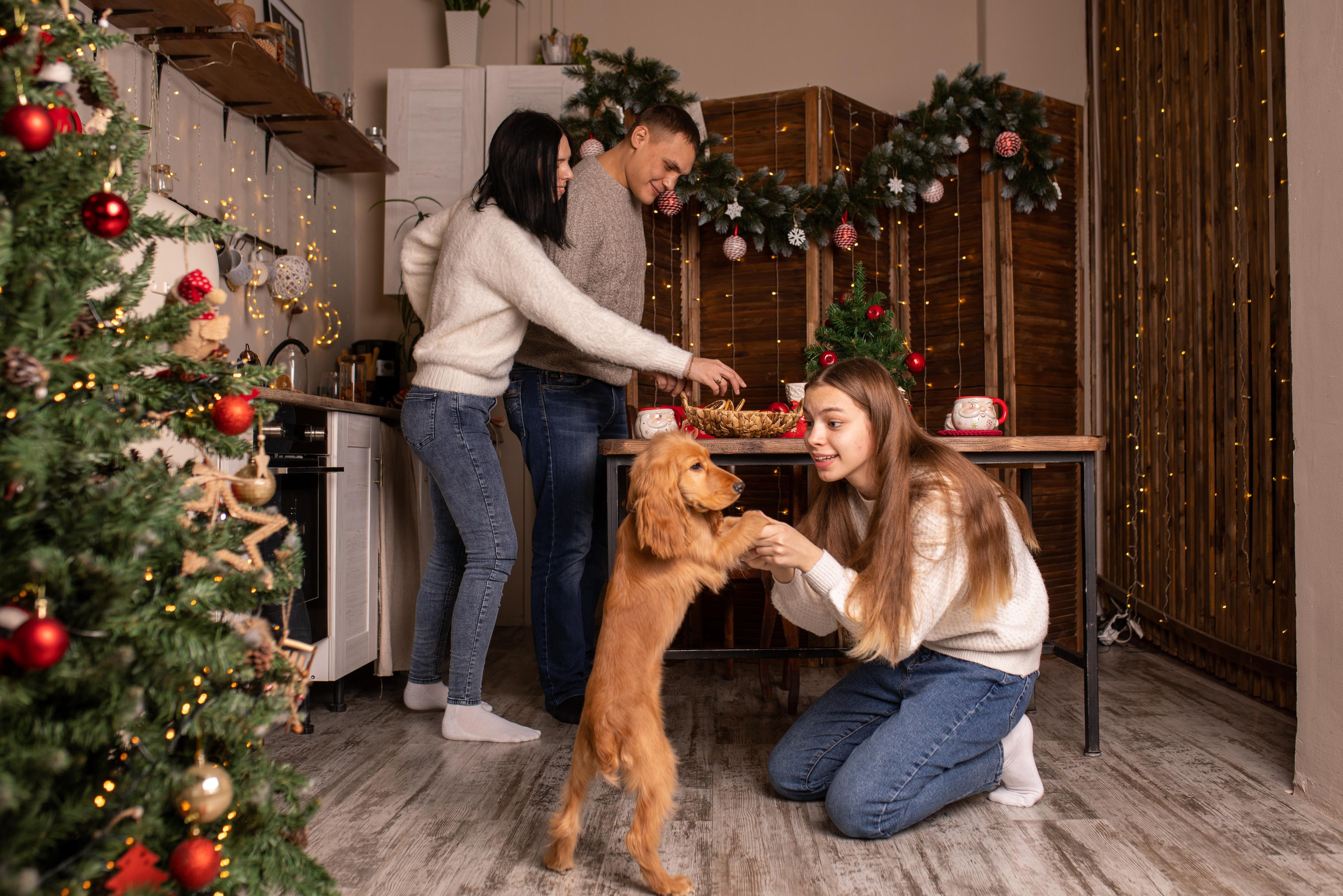 Семейная новогодняя съемка для Ирины и Влада. Женский семейный фотограф Тула Москва Захарова Анна