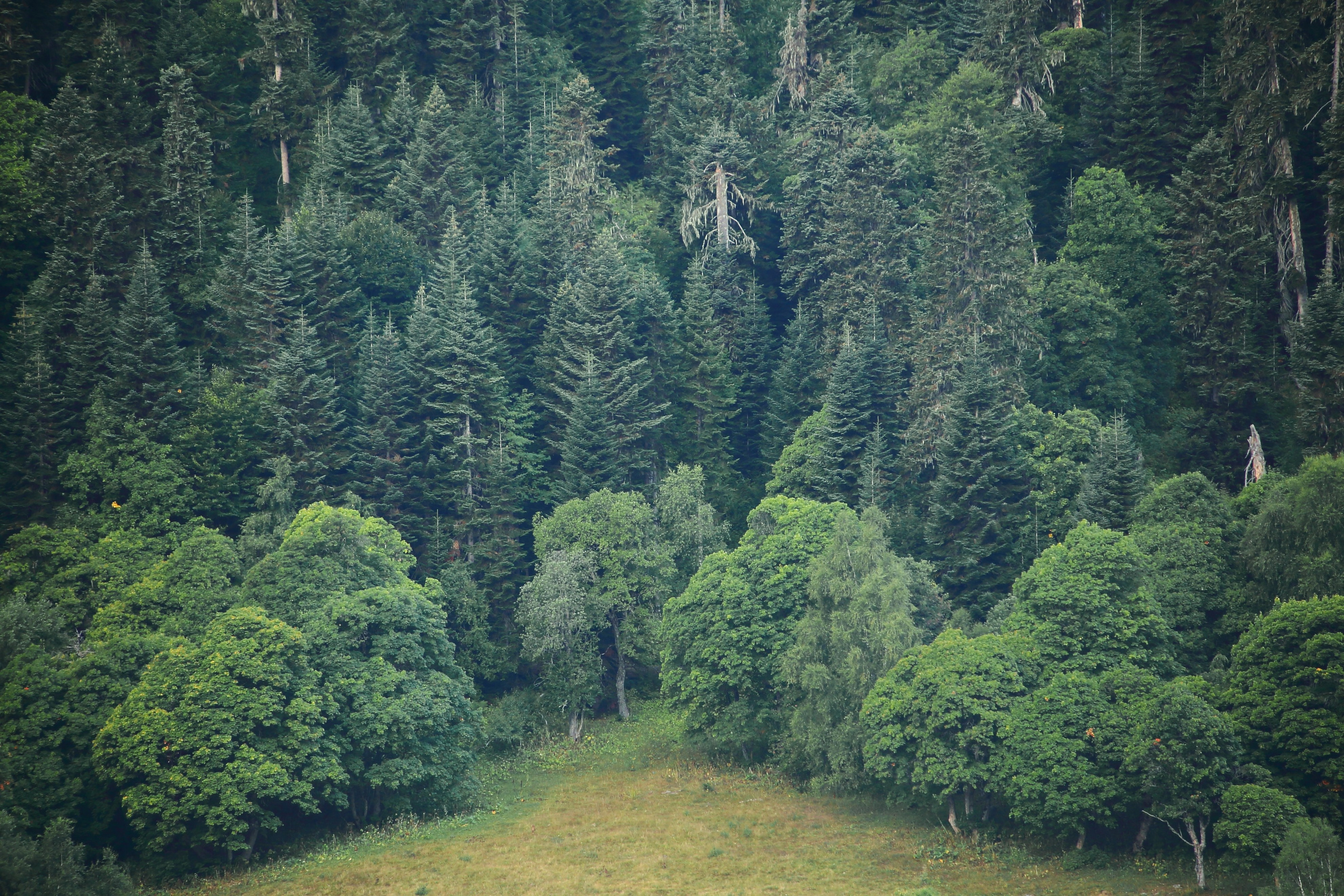Кавказ. Свадебный и репортажный фотограф в Ярославле и Санкт-Петербурге Роман Микрюков