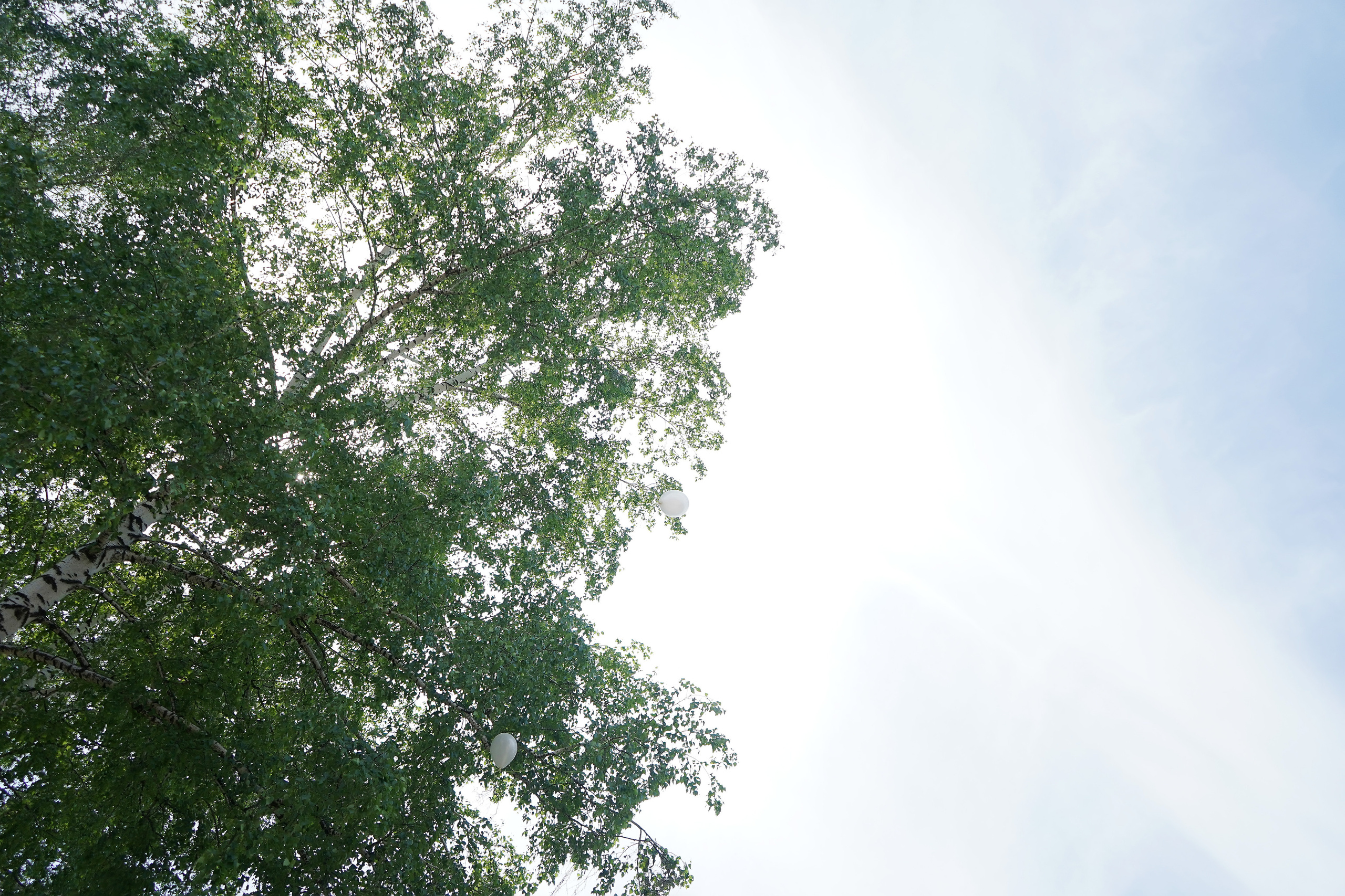 Фотосъемка видеосъёмка фотограф видеооператор новогодних утренников  в. Фотограф, видеооператор Нина Коршунова