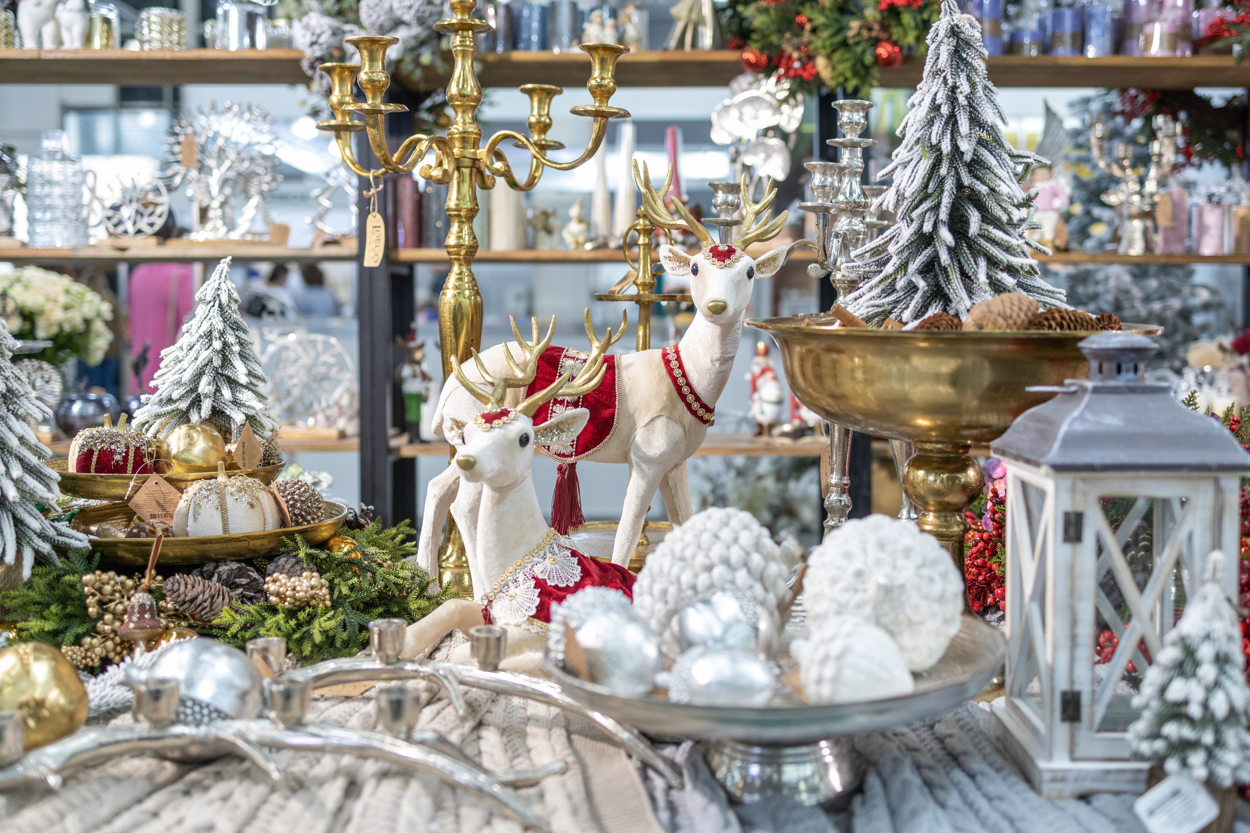 Предметная съёмка. Фотосессии и репортаж — Фотограф в Москве — Рина Серёгина