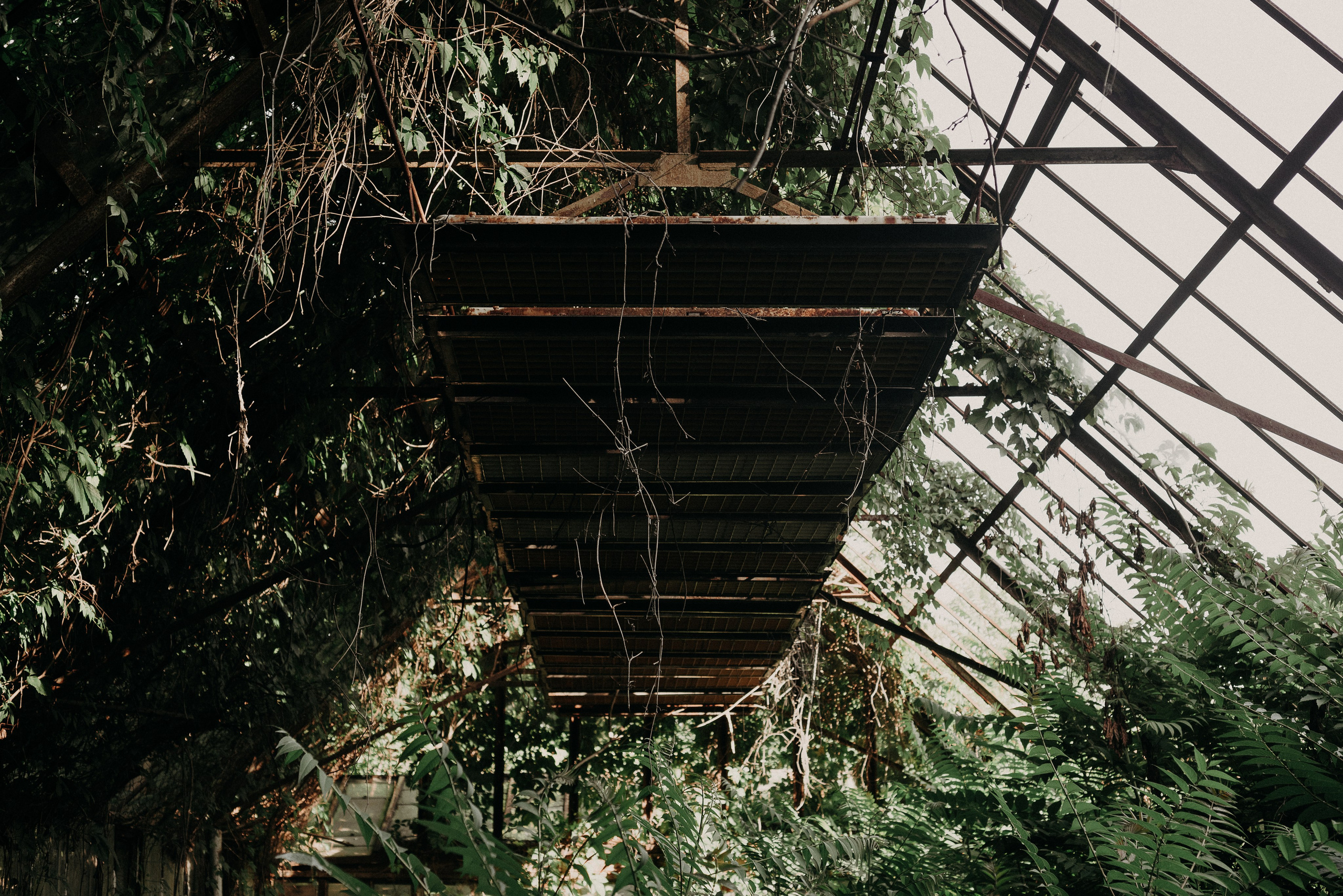 Ростов-на-Дону: через объектив фотографа из Гуанчжоу. Коммерческий и предметный фотограф в Гуанчжоу Коваленко Александр