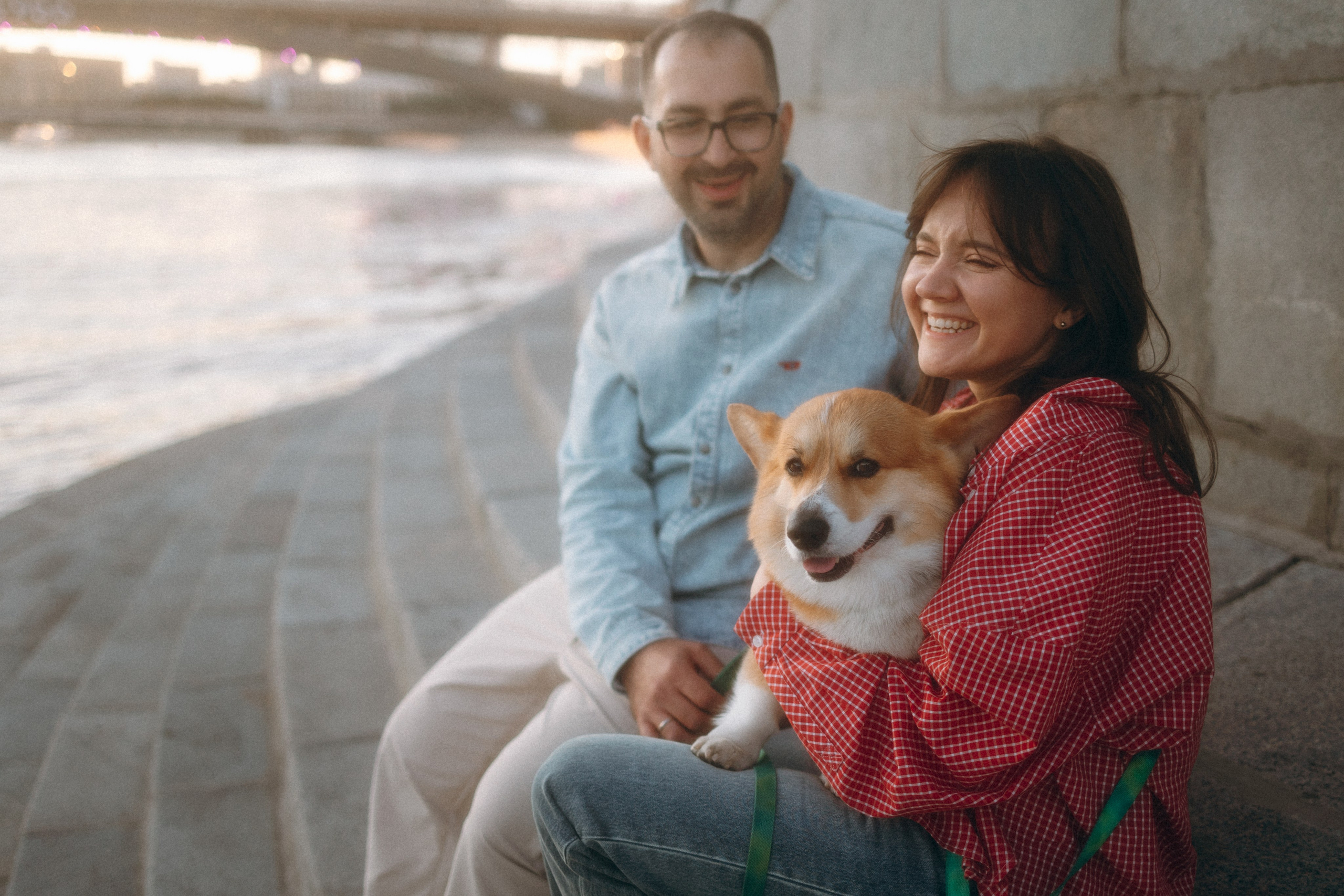 Момо, Люда и Эд. Фотограф анималист Анастасия Пикей