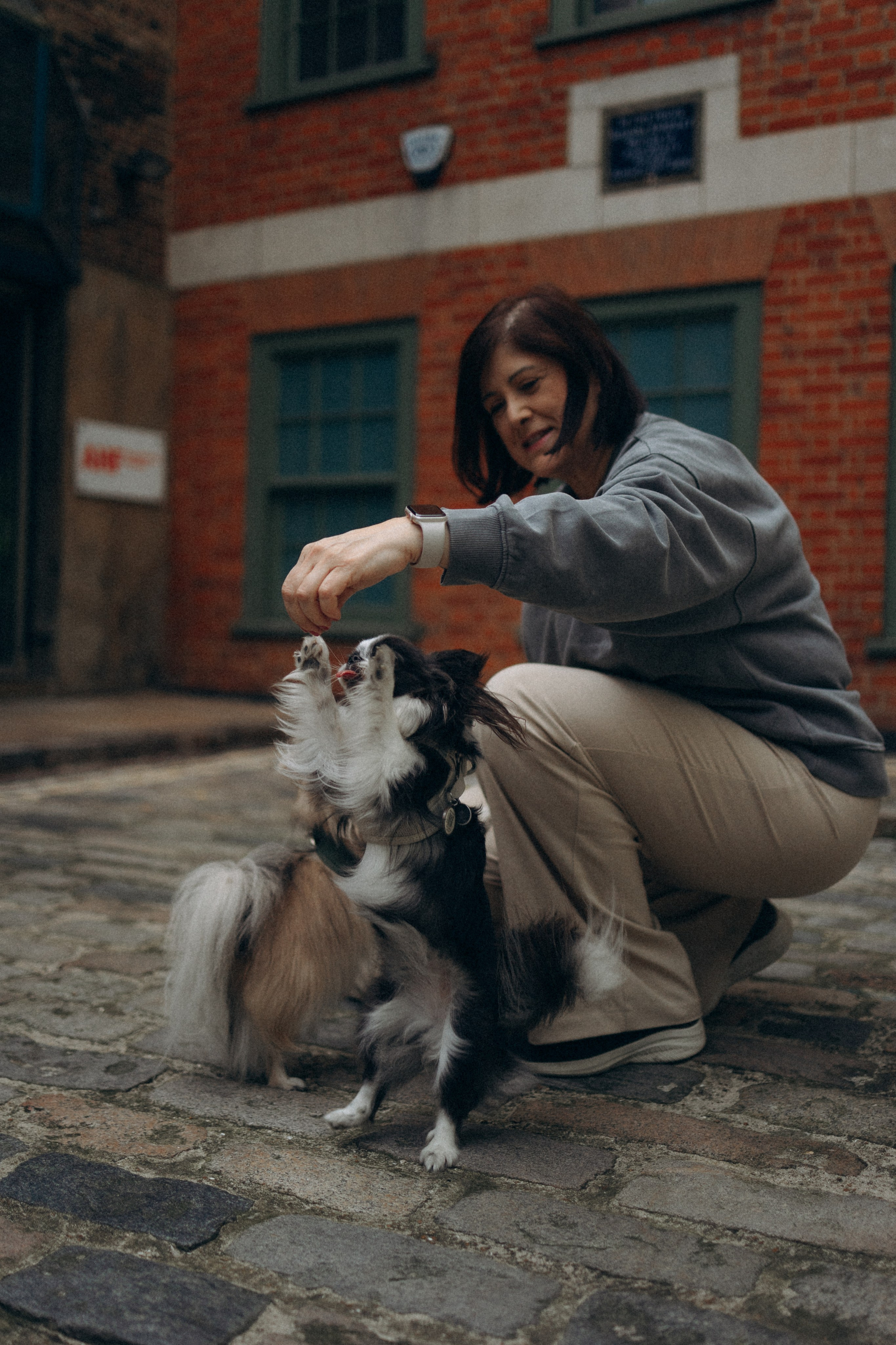 Кристина, Тия и Тедди. Фотораф — анималист Мария Шистка