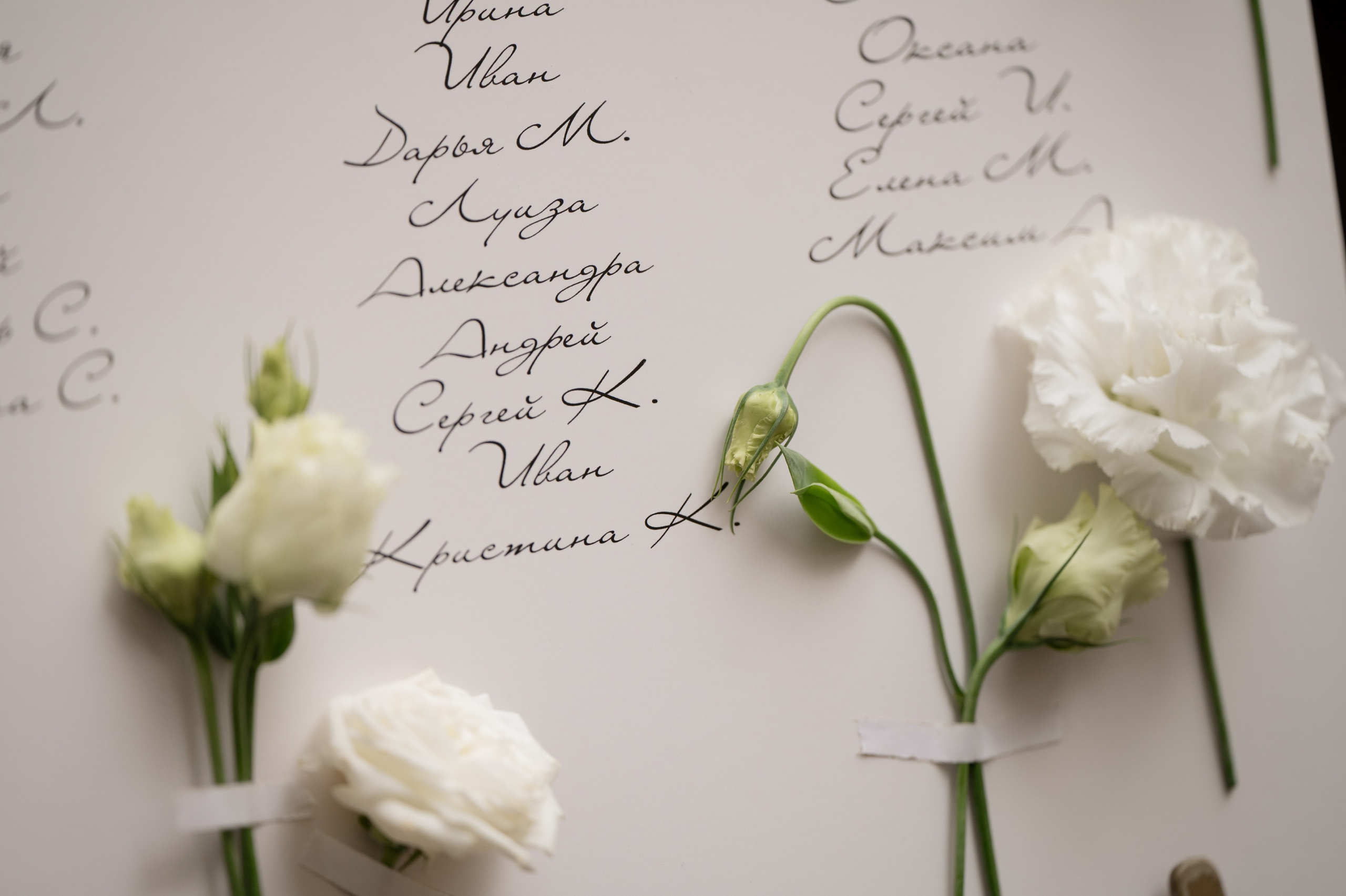 Давид и Екатерина. Свадебный фотограф Тула