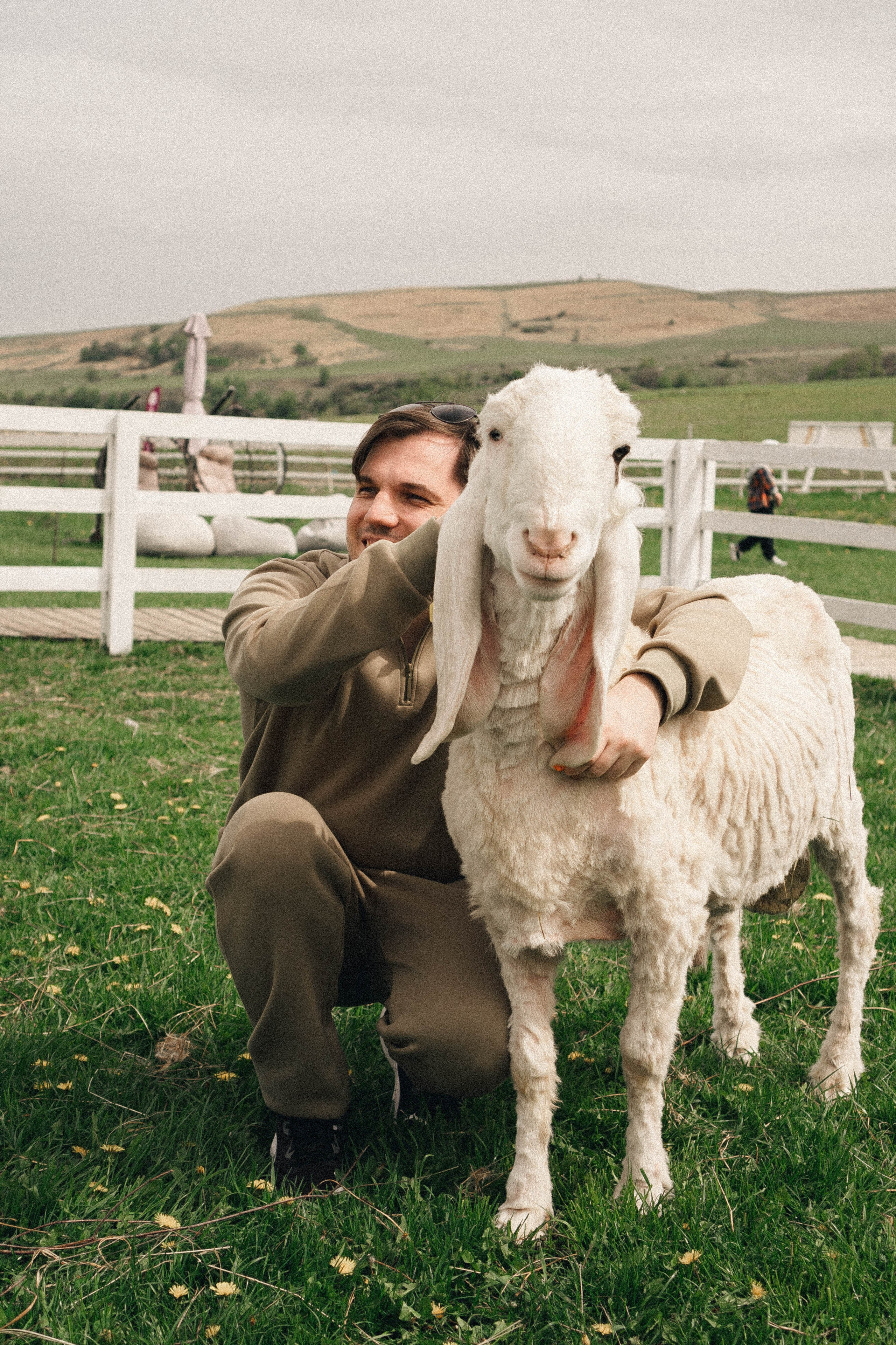 Ферма Альпак. Профессиональный фотограф, Санкт-Петербург — Виктория Богомолова