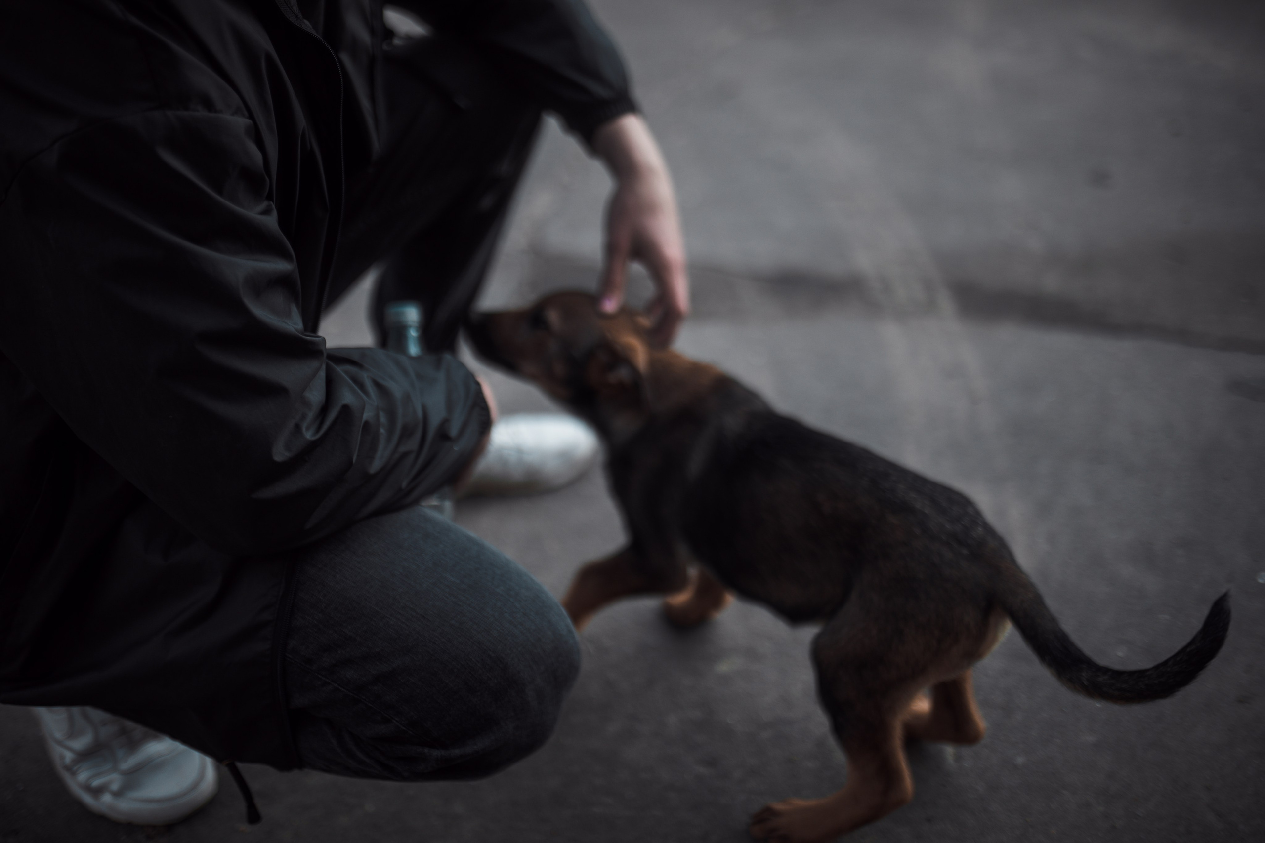 Дима. Фотограф София Комкина