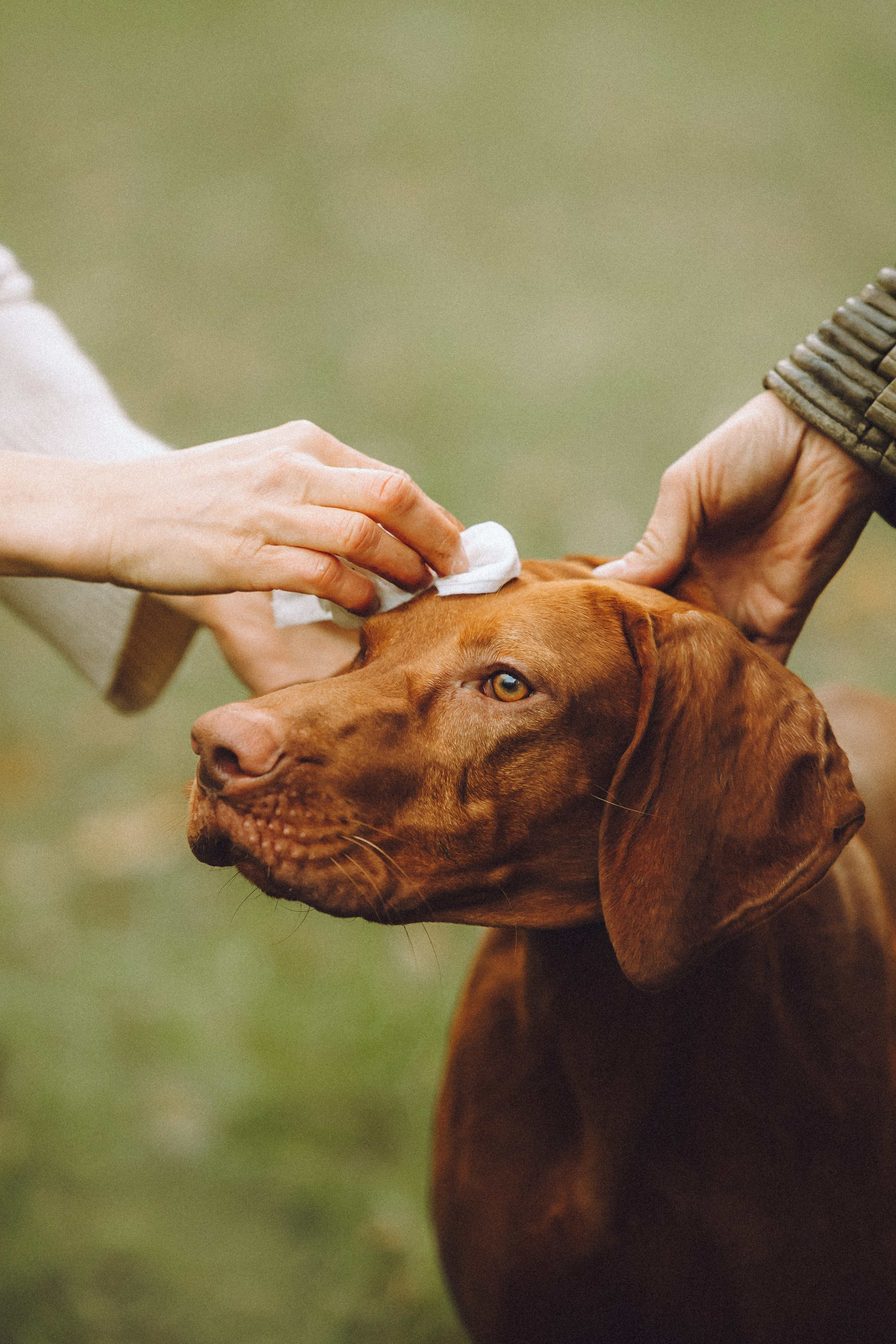 Дориан и его семья