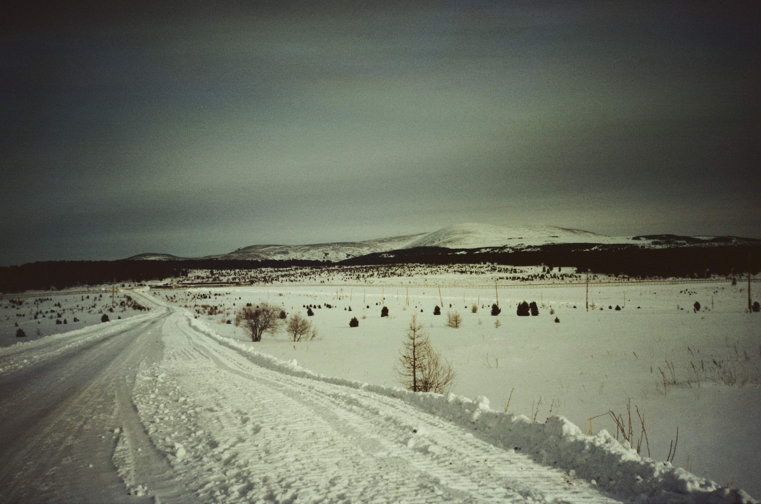 Дорога в верхах Алтая и Семинский перевал. Фотограф-документалист Мария Осокина