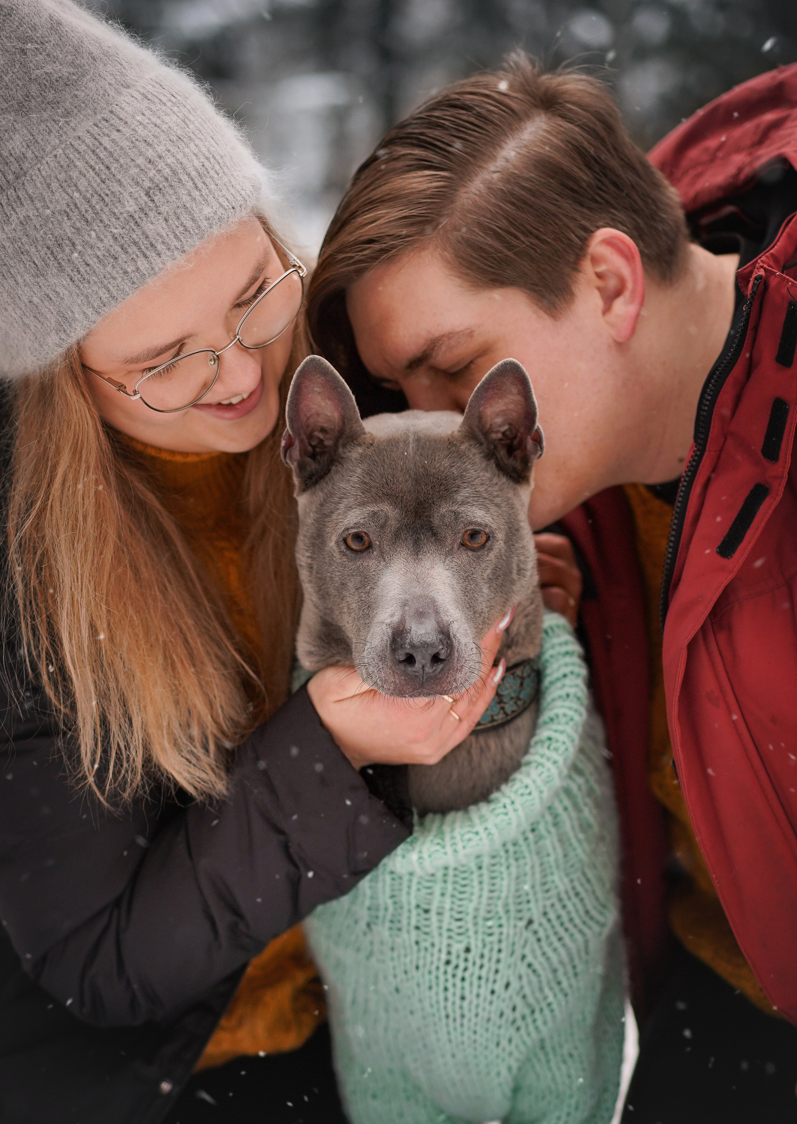 Даша Илья Вениамина и Мэдиссон. Фотограф-анималист в Санкт-Петербурге Яна Мартынова