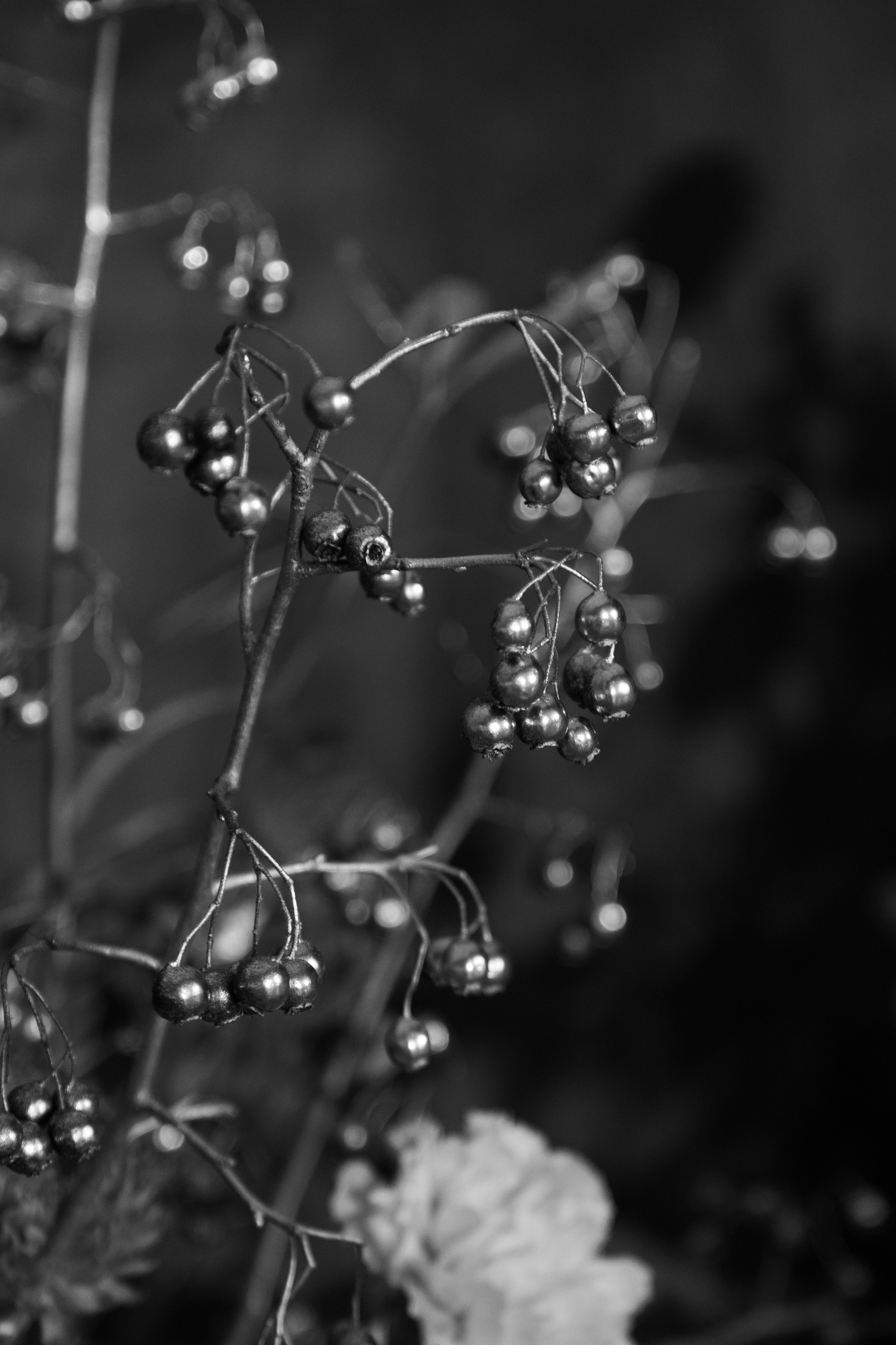 Decor | Серебро