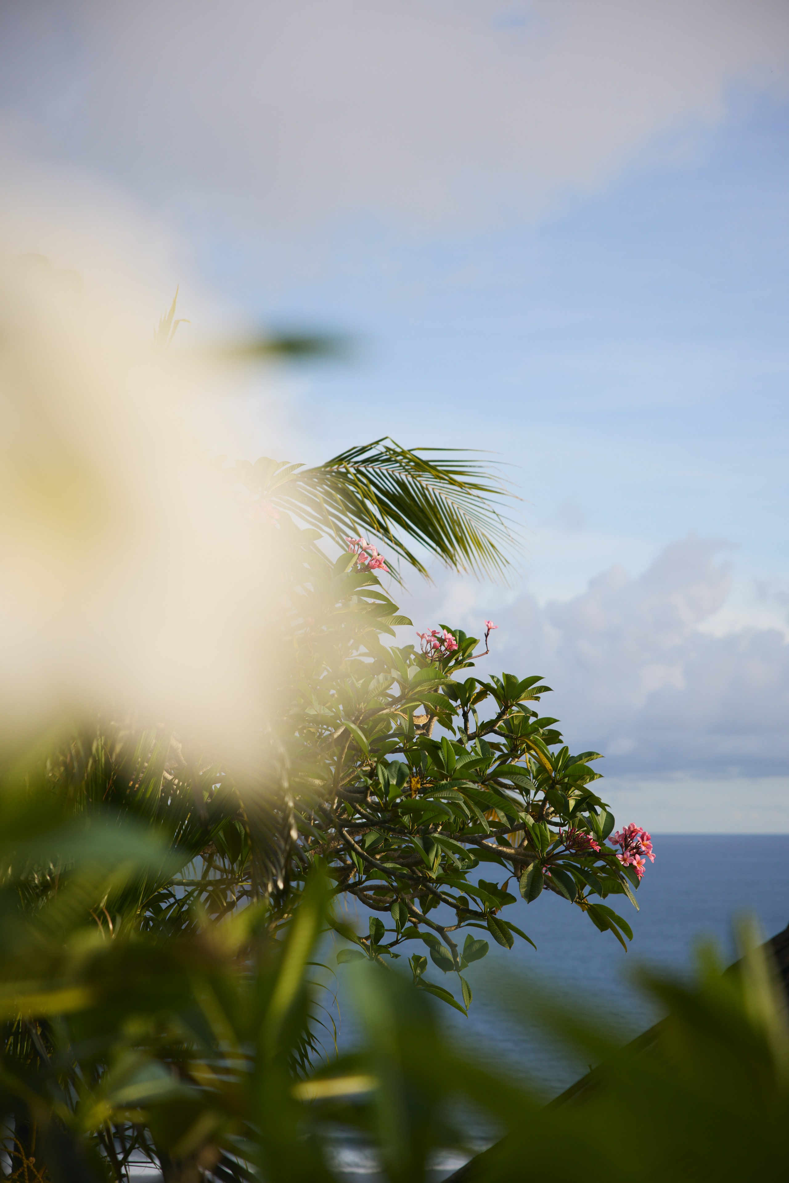 Ретрит Бали '26 «Be Your Own Muse»Март. Профессиональный фотограф Татьяна Евглевская