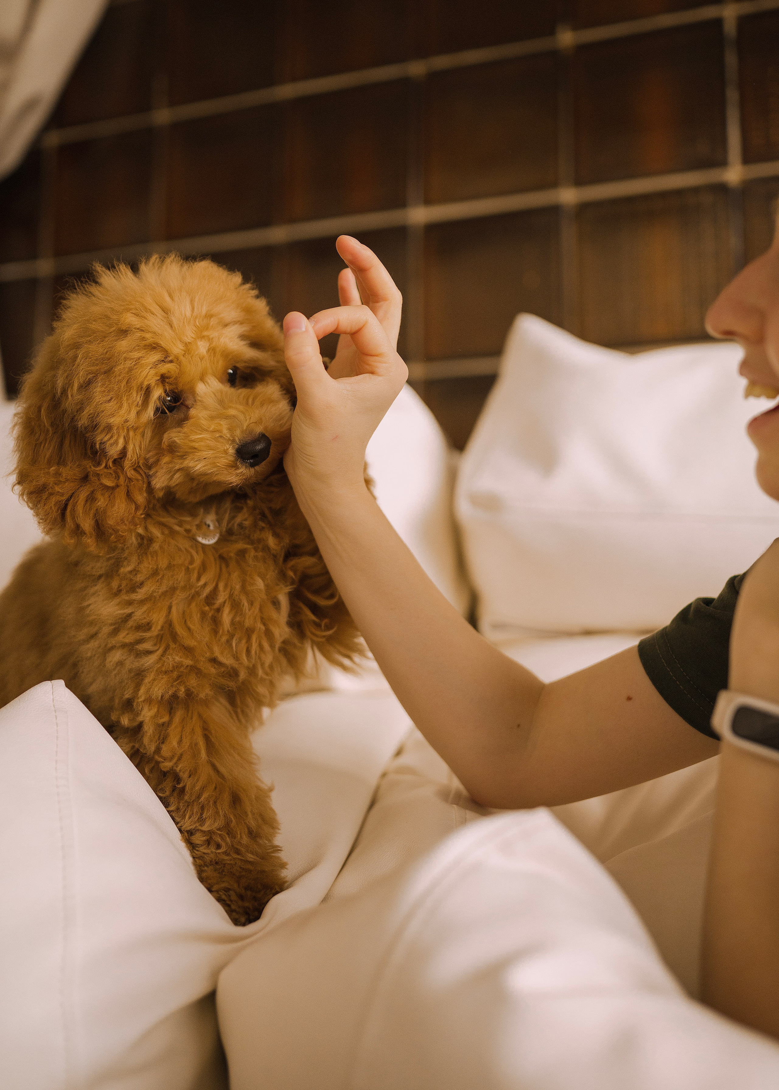 Утилита. Фотограф- анималист Александра Матвеева