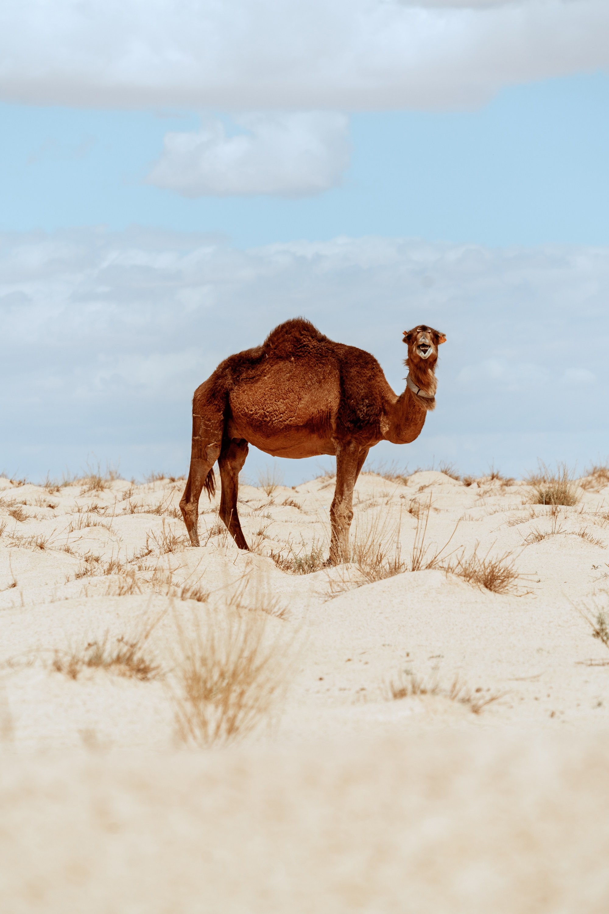 Путешествия. Фотограф в Хабаровске. Фотография за 24 часа