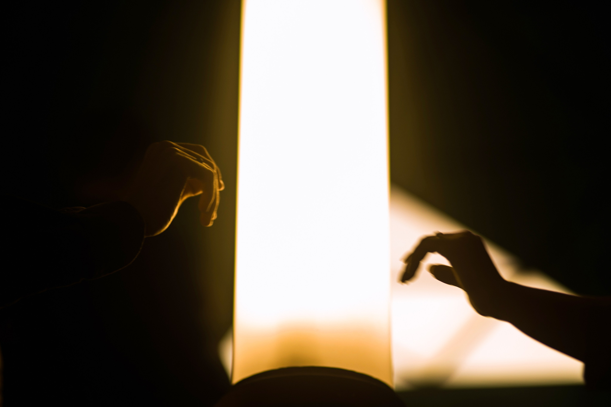 Алена и Дима. Фотограф Олеся Голева