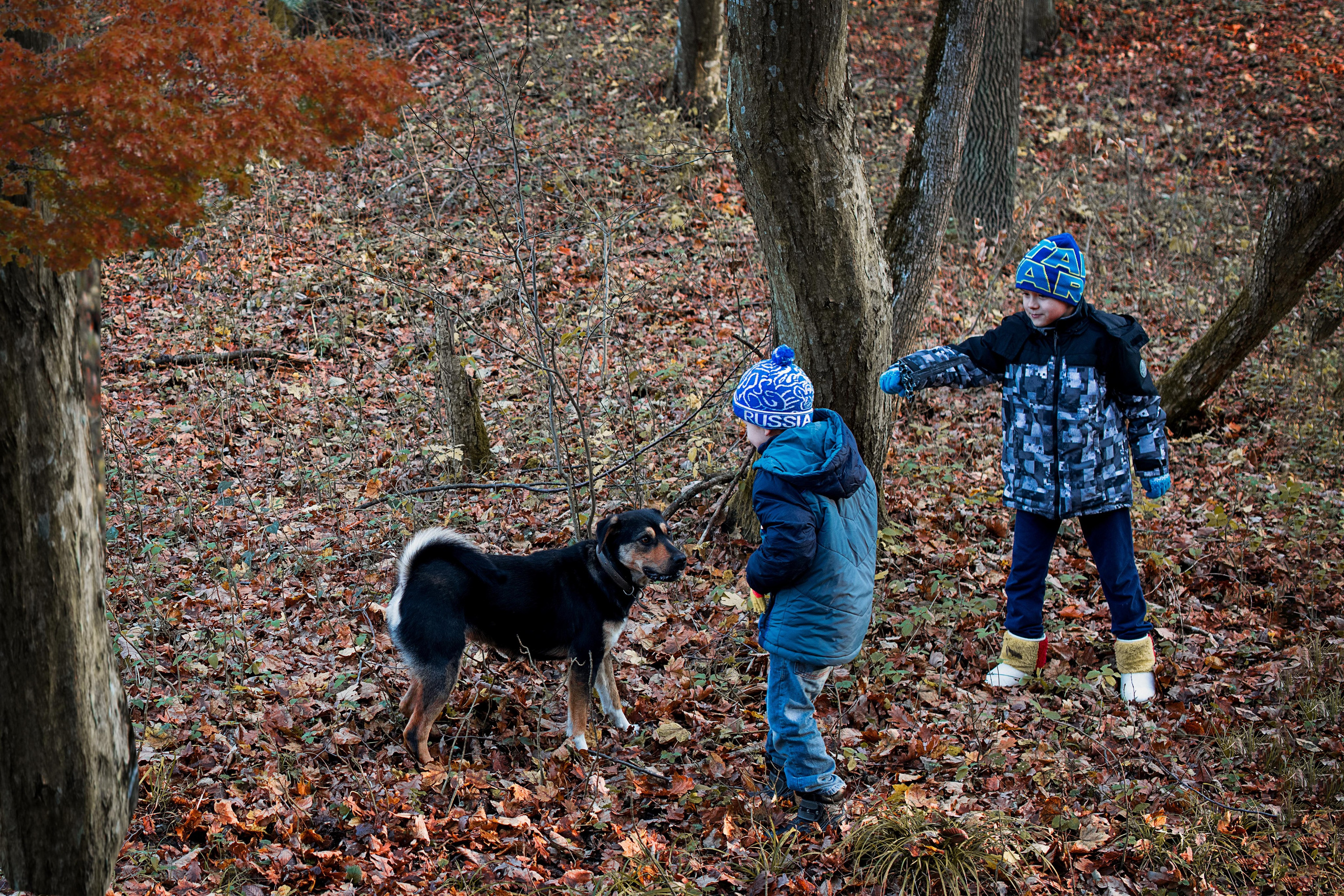 Семейная фотография. Арт студия «Пегас». Фото- и видео- съемка