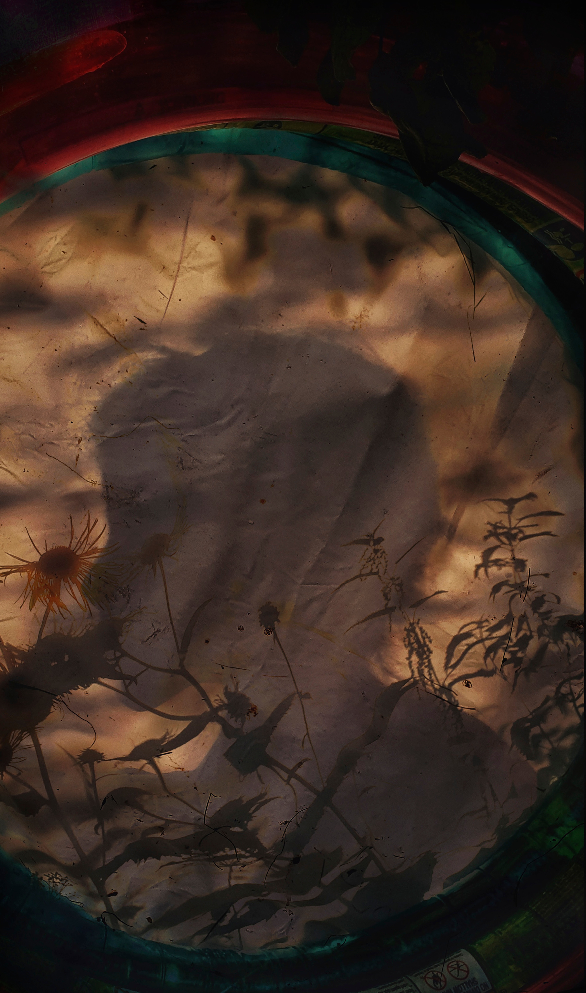 Изобразительное Искусство. Художественный фотограф. Фотосессии, Обучение, Ревью