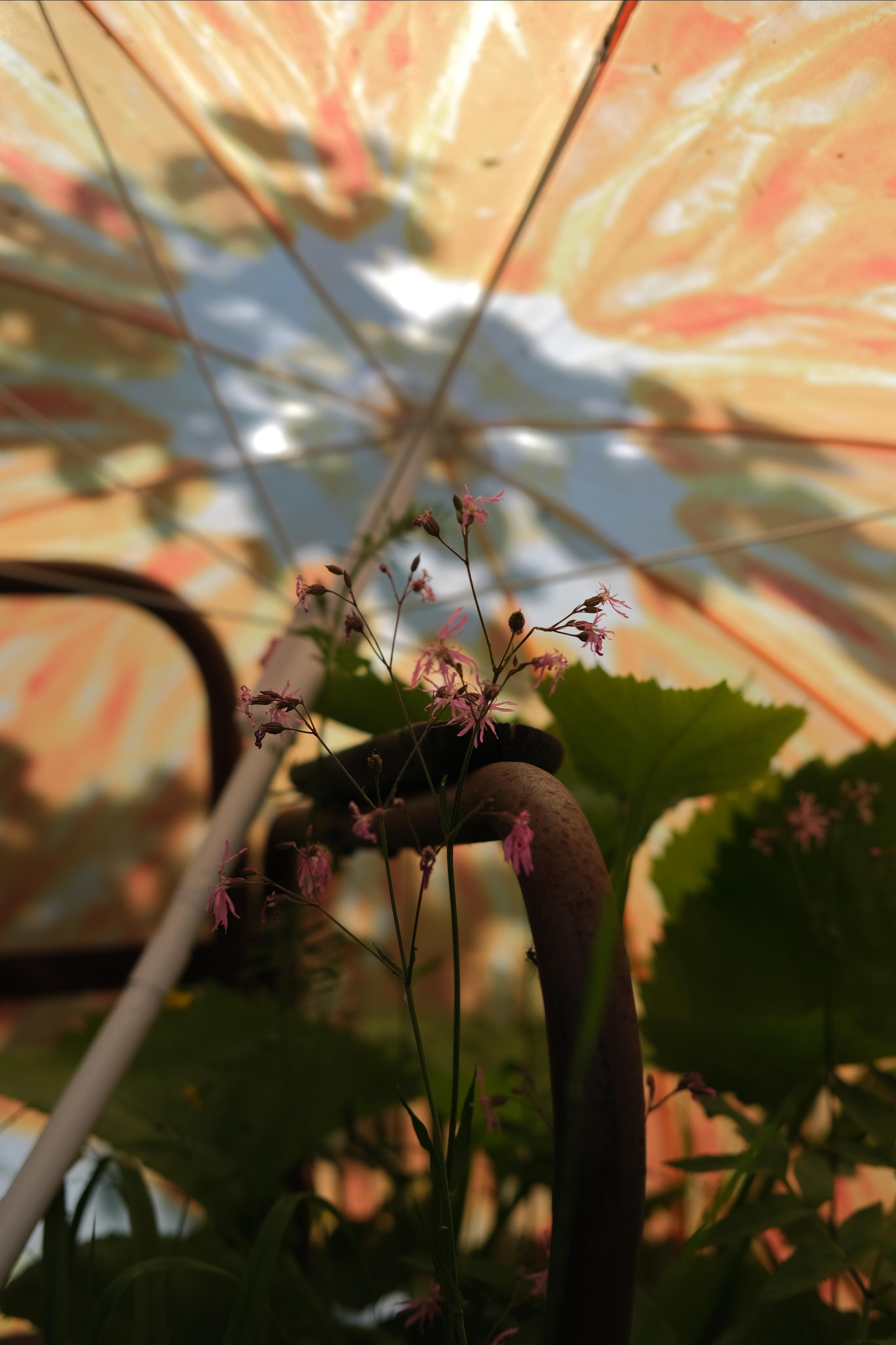 Изобразительное Искусство. Художественный фотограф. Фотосессии, Обучение, Ревью