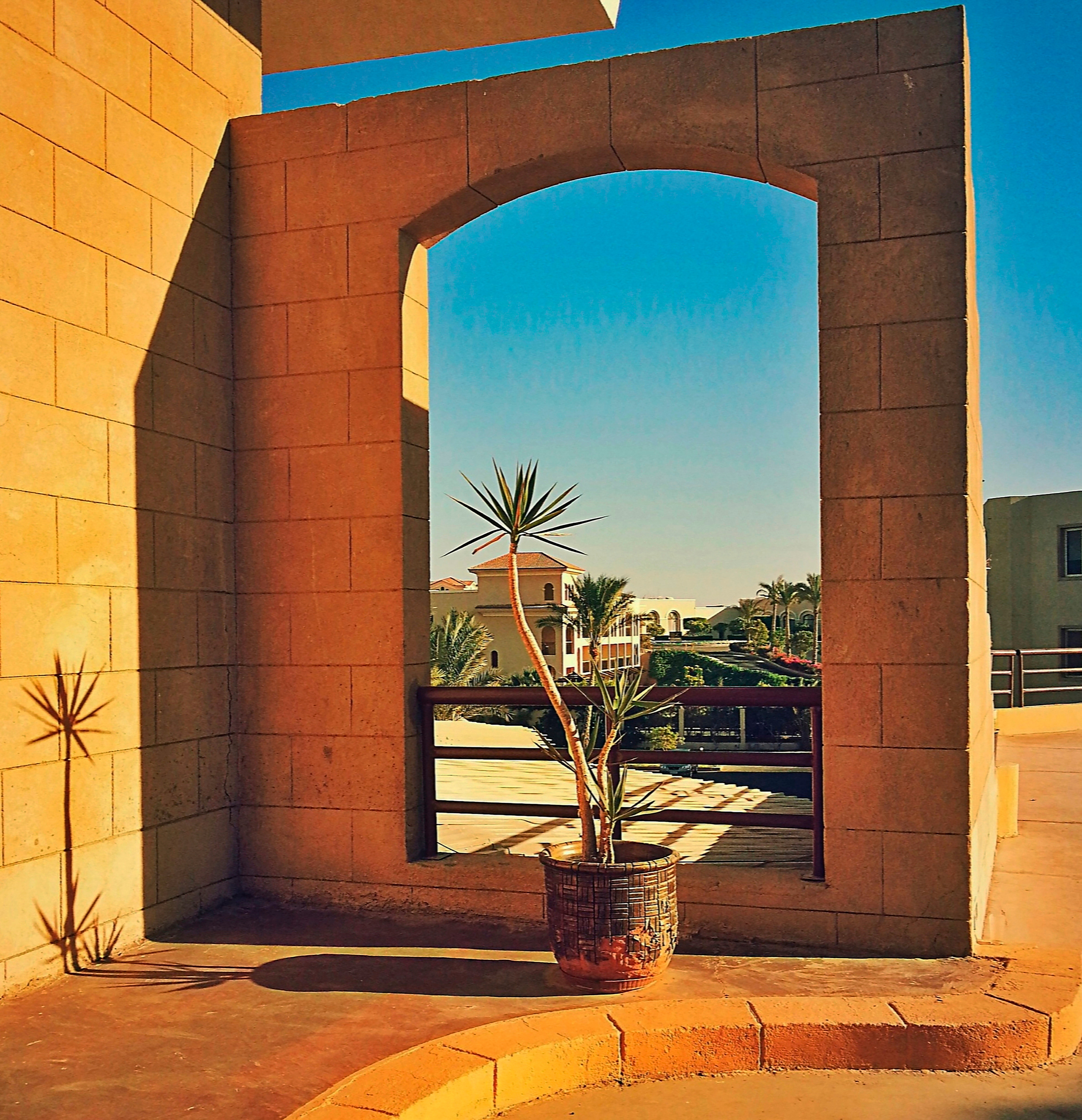 Изобразительное Искусство. Художественный фотограф. Фотосессии, Обучение, Ревью