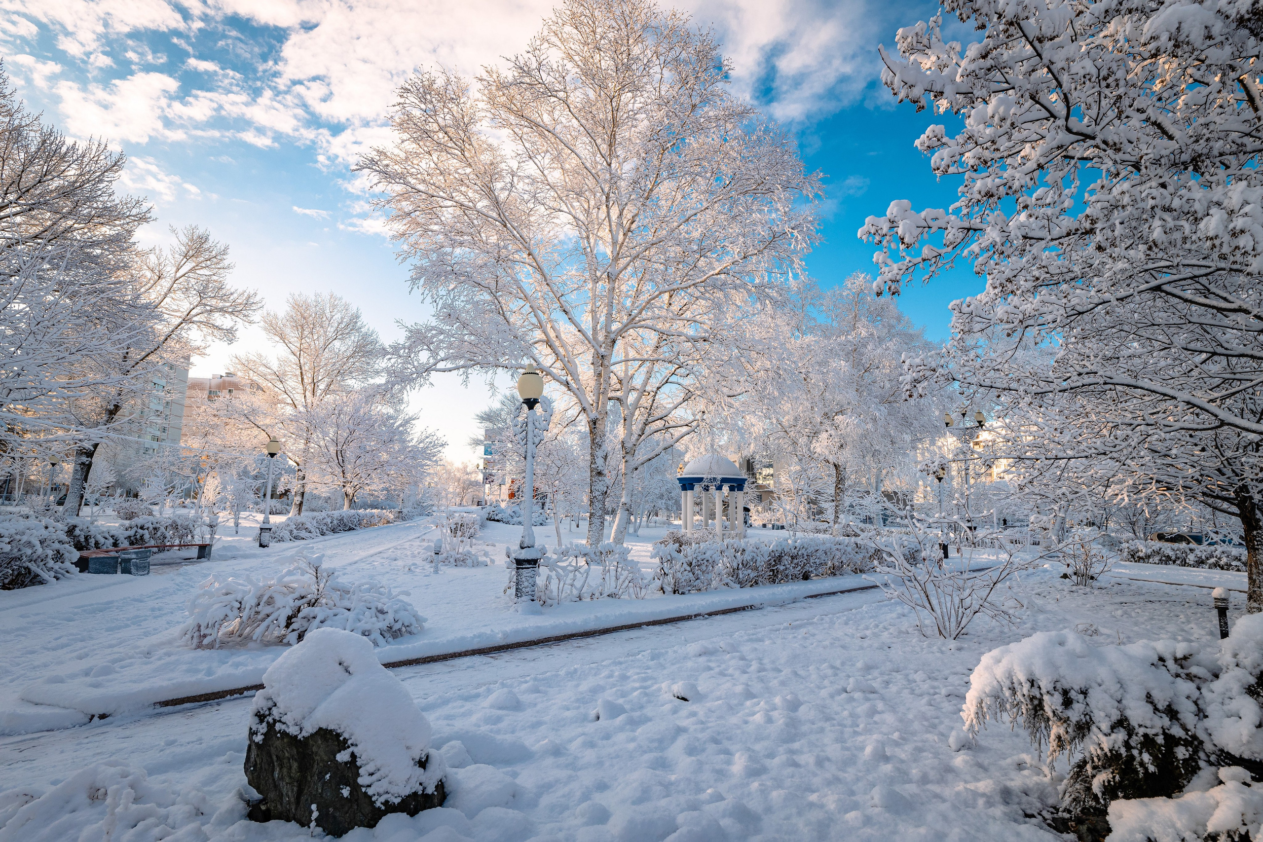 О.Сахалин. Фотограф. г. Южно-Сахалинск. Олег Толстов