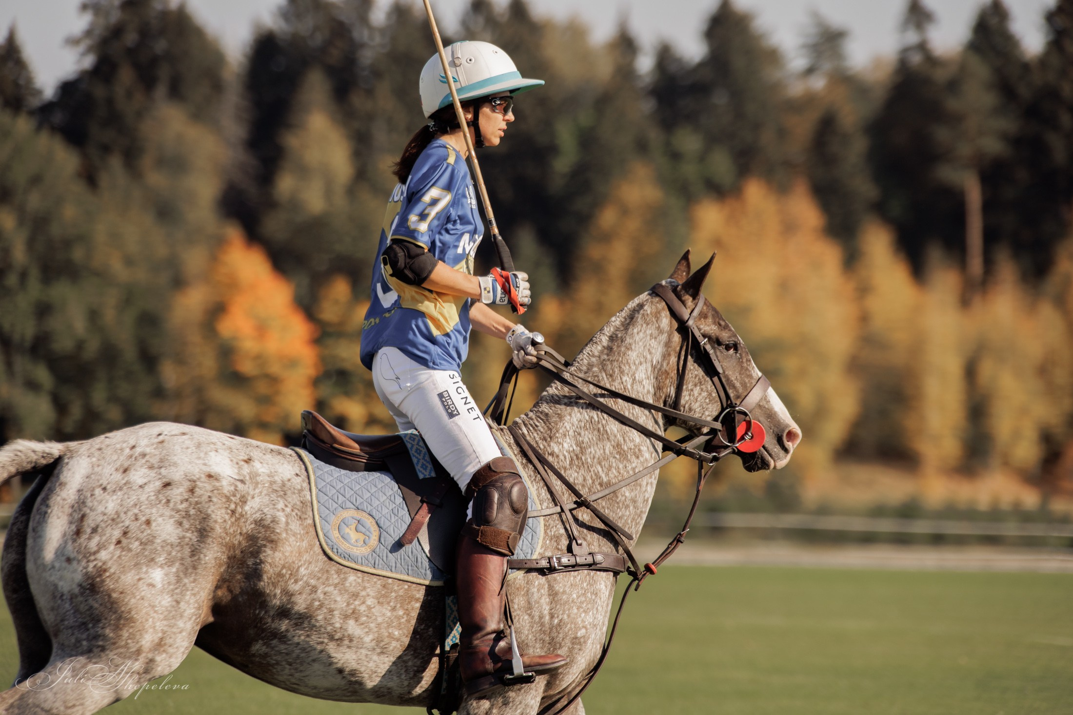 Осенний кубок по конному поло. Детская Конная фотография в Москве Юлия Шепелева