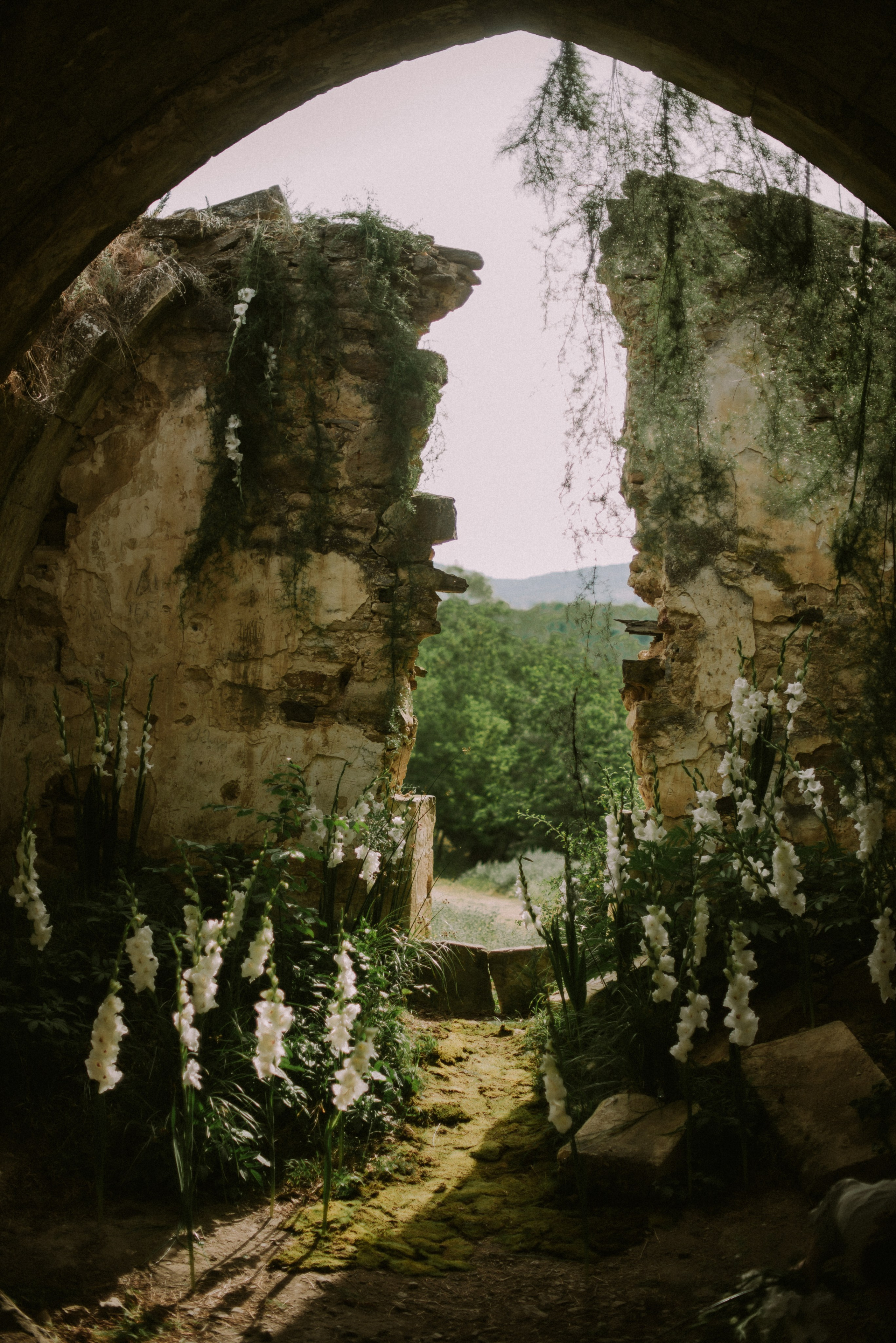Антон и Надежда. Свадебный, женский, семейный фотограф в Севастополе Юлия Мошенко