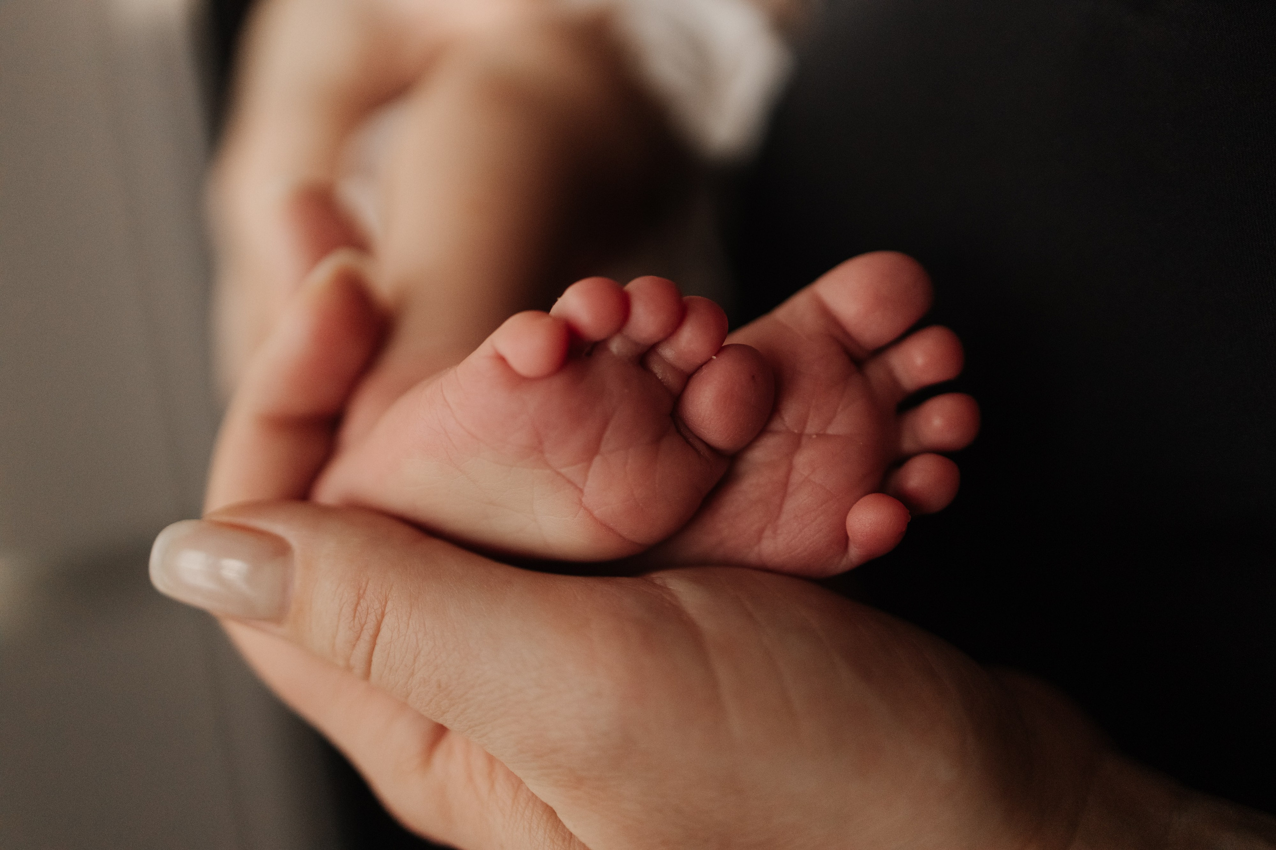 Гордей. Фотограф Новосибирск