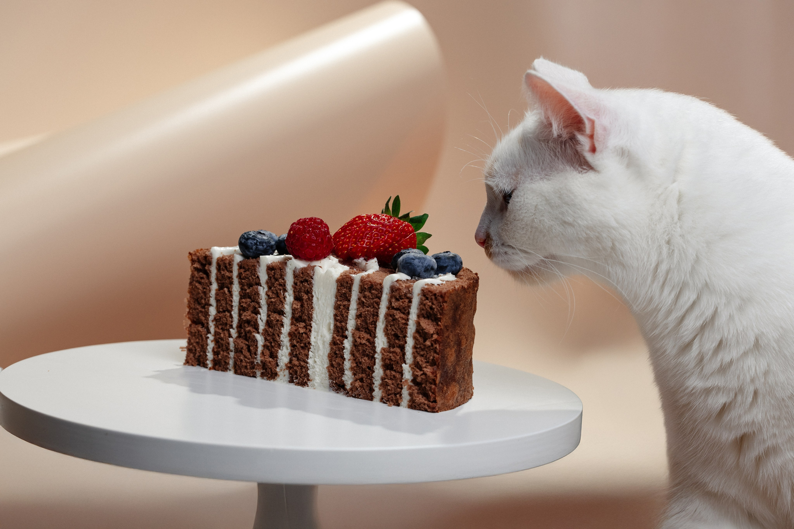 Царский вкус 2025. Фотограф в Казань и Москва