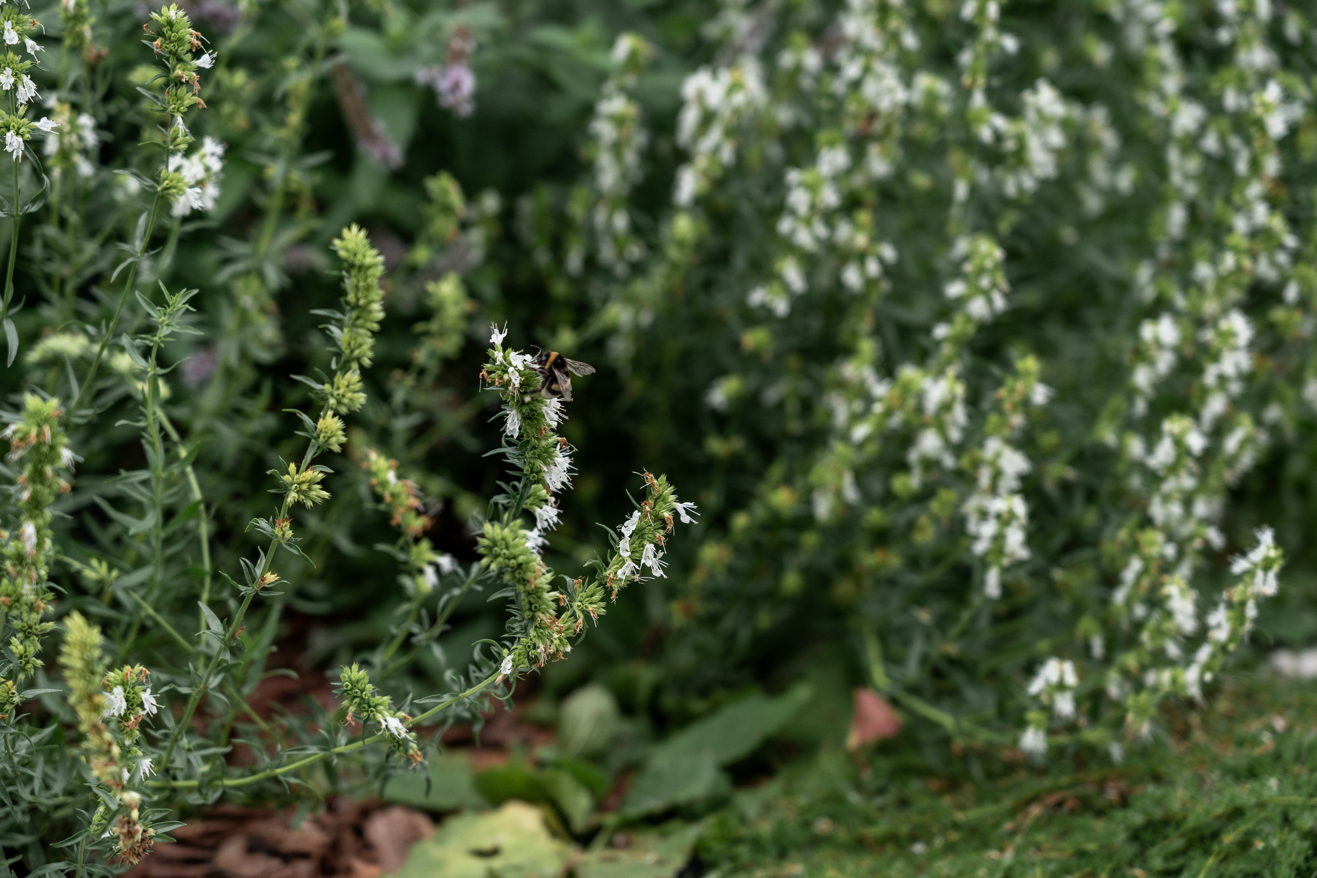 Private house, Moscow region. Артамонов Александр | Архитектурный и ландшафтный фотограф