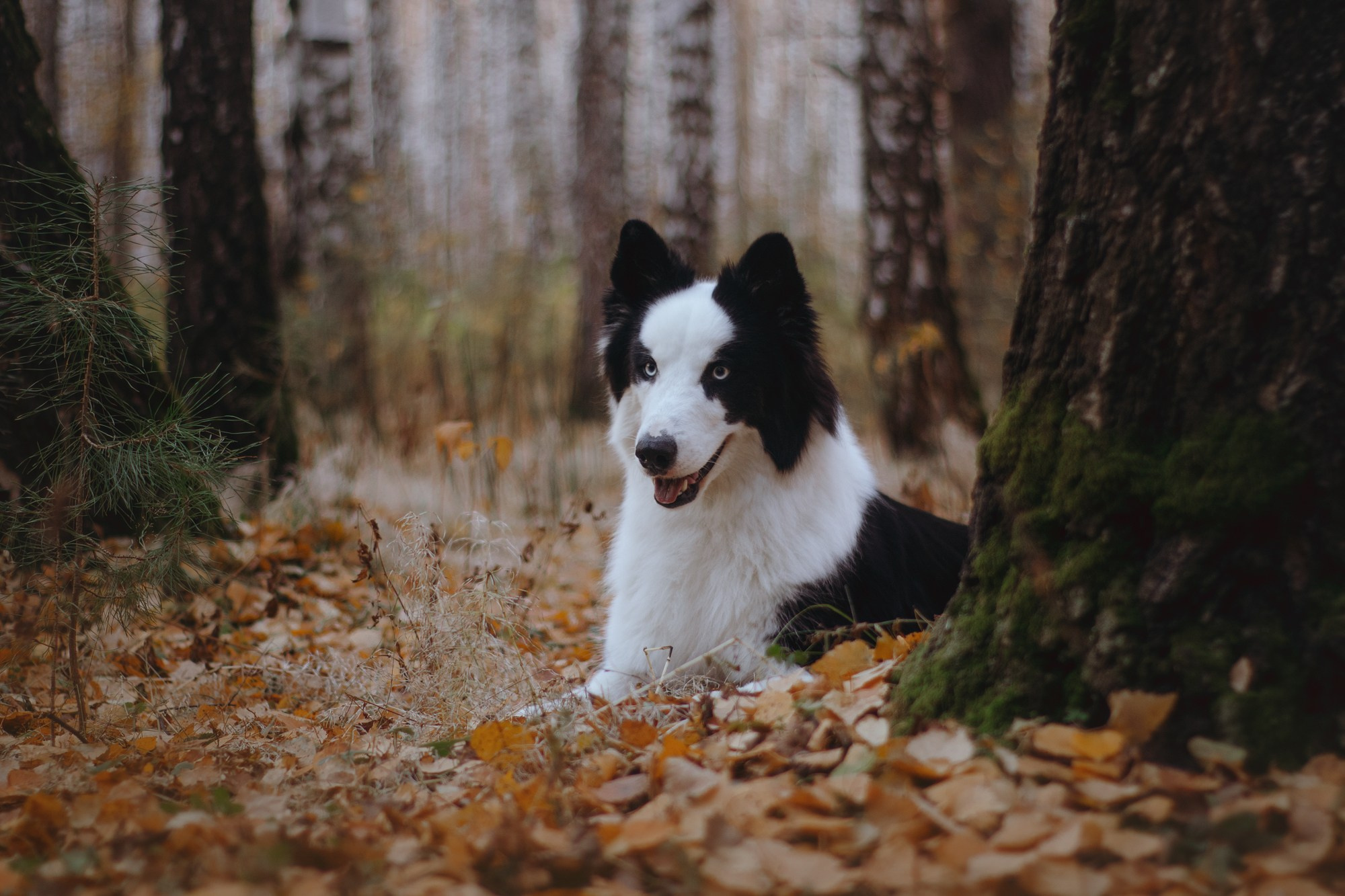 Ликёр. Фотограф в Тюмени Лизавета Сапицкая