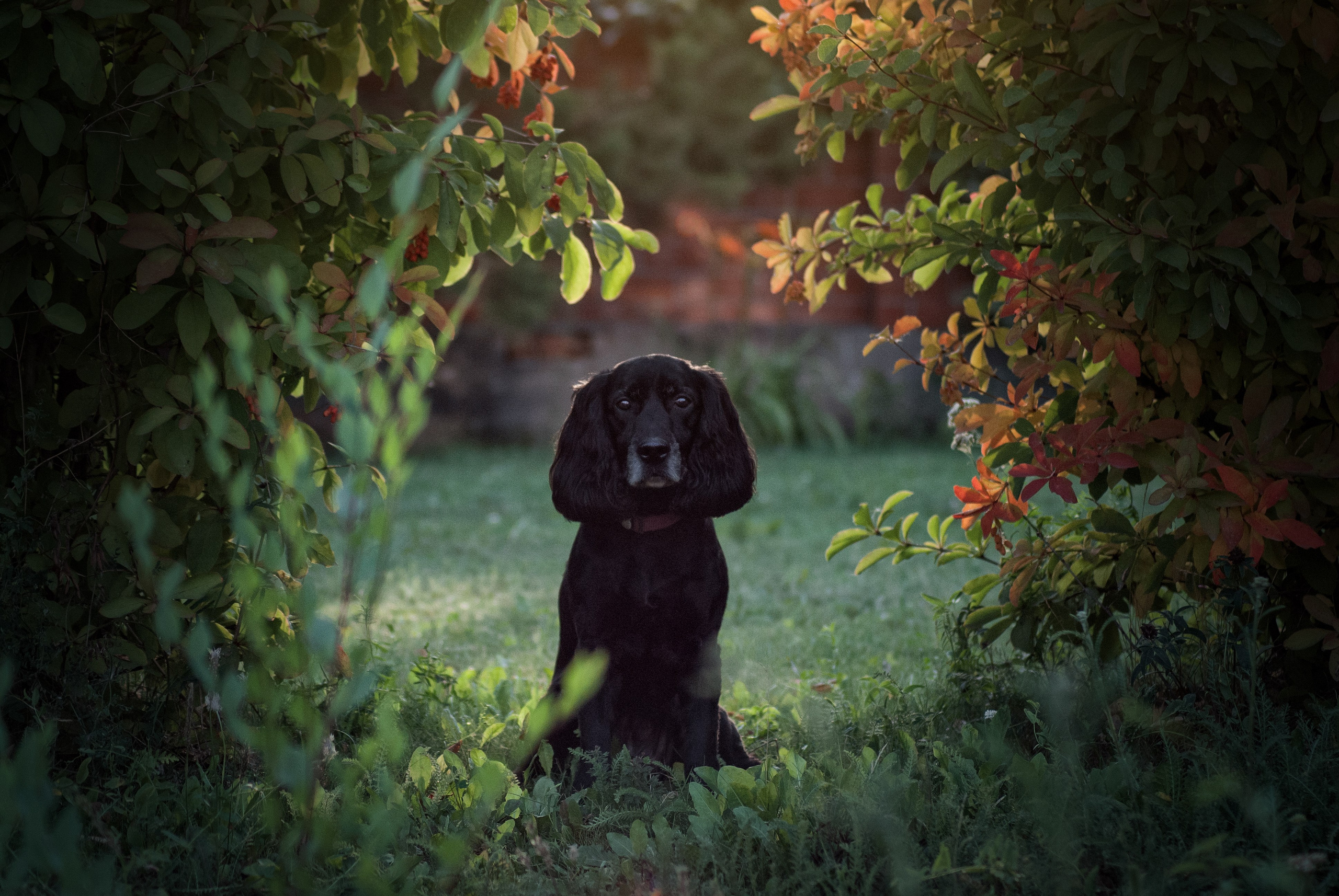 Джессика. Фотограф в Тюмени Лизавета Сапицкая