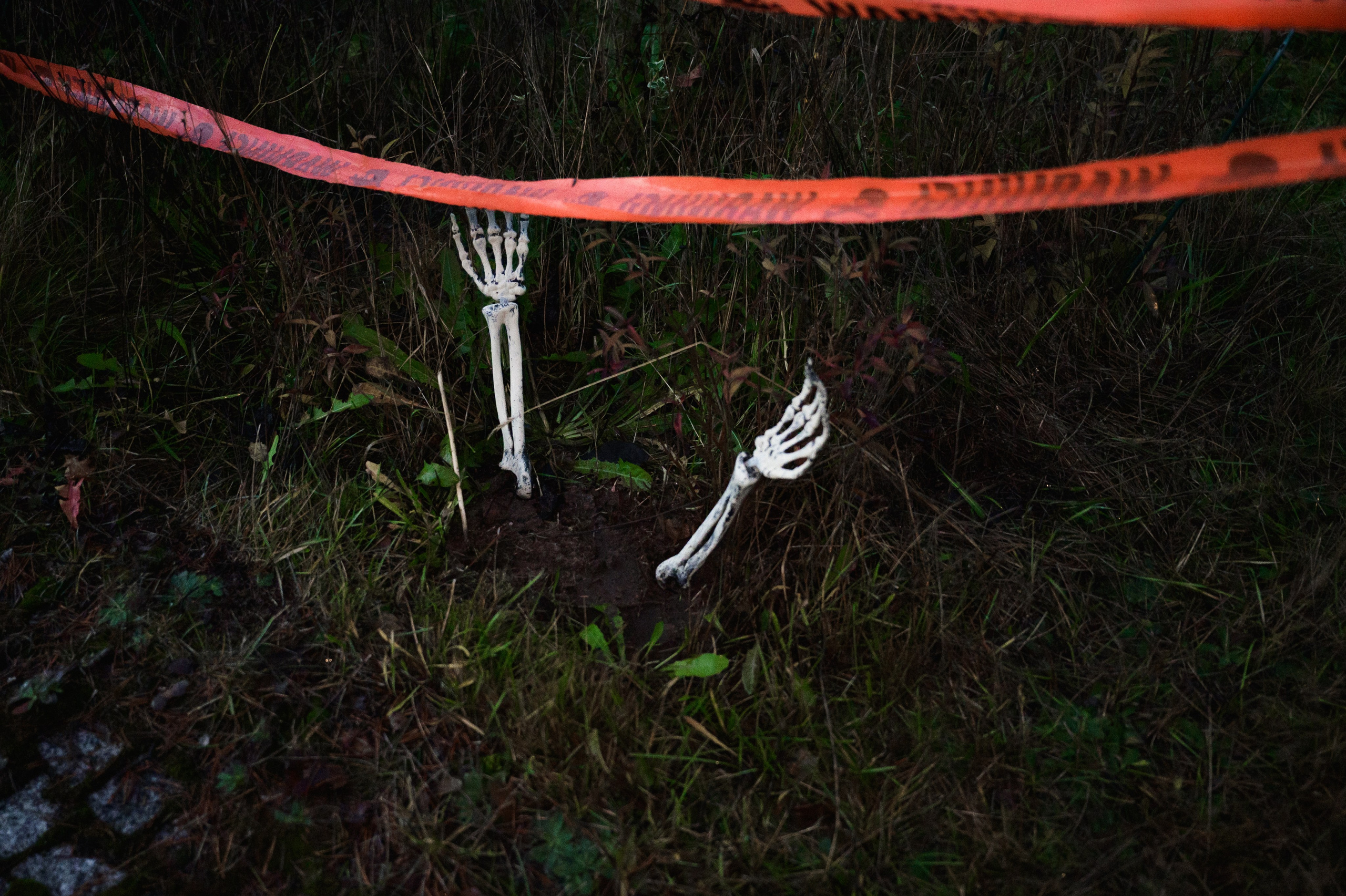 Hallowen. Фотограф Горбенко Анна