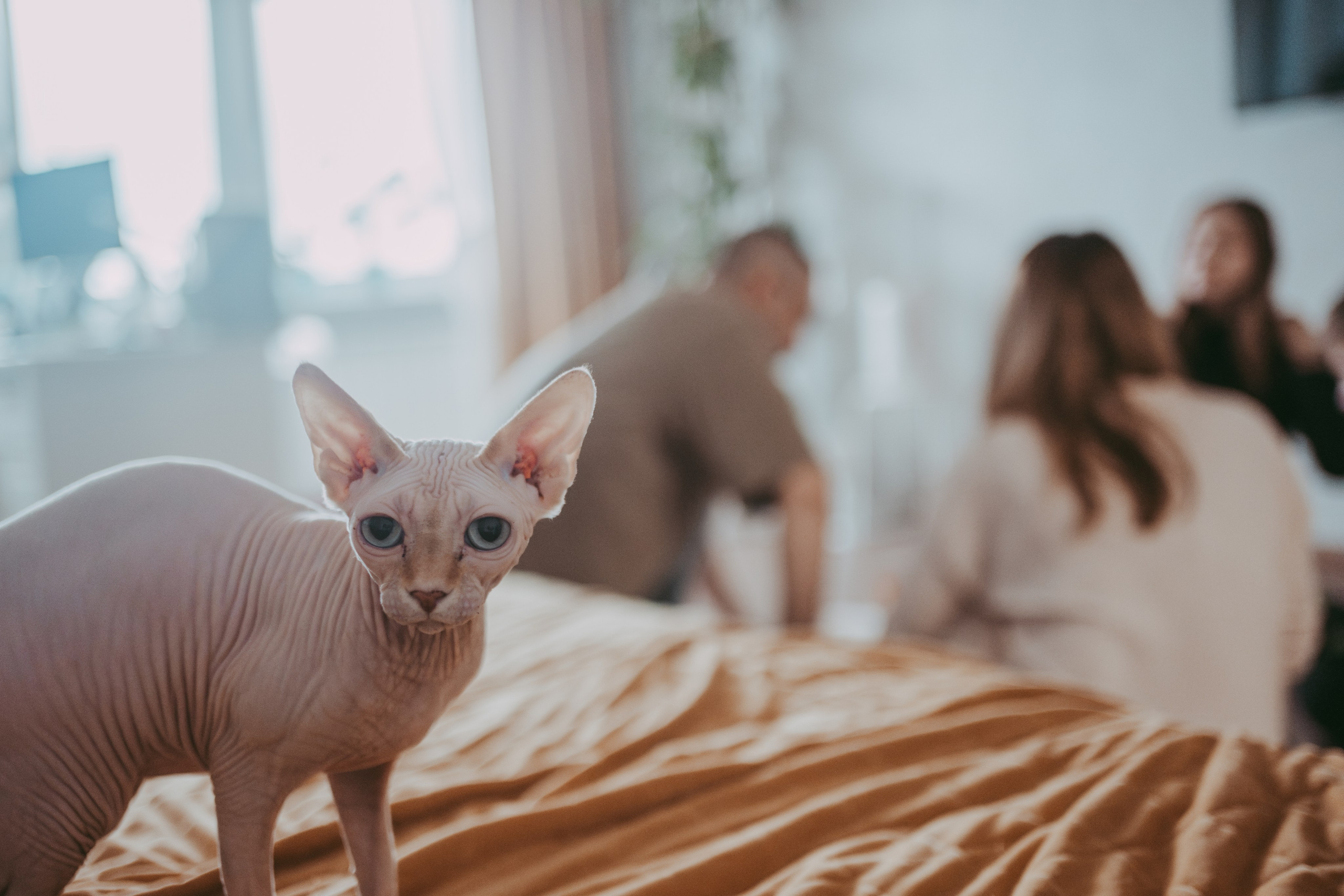 Маша и ее семья. Семейный фотограф в Москве и Подмосковье Иванова Нина