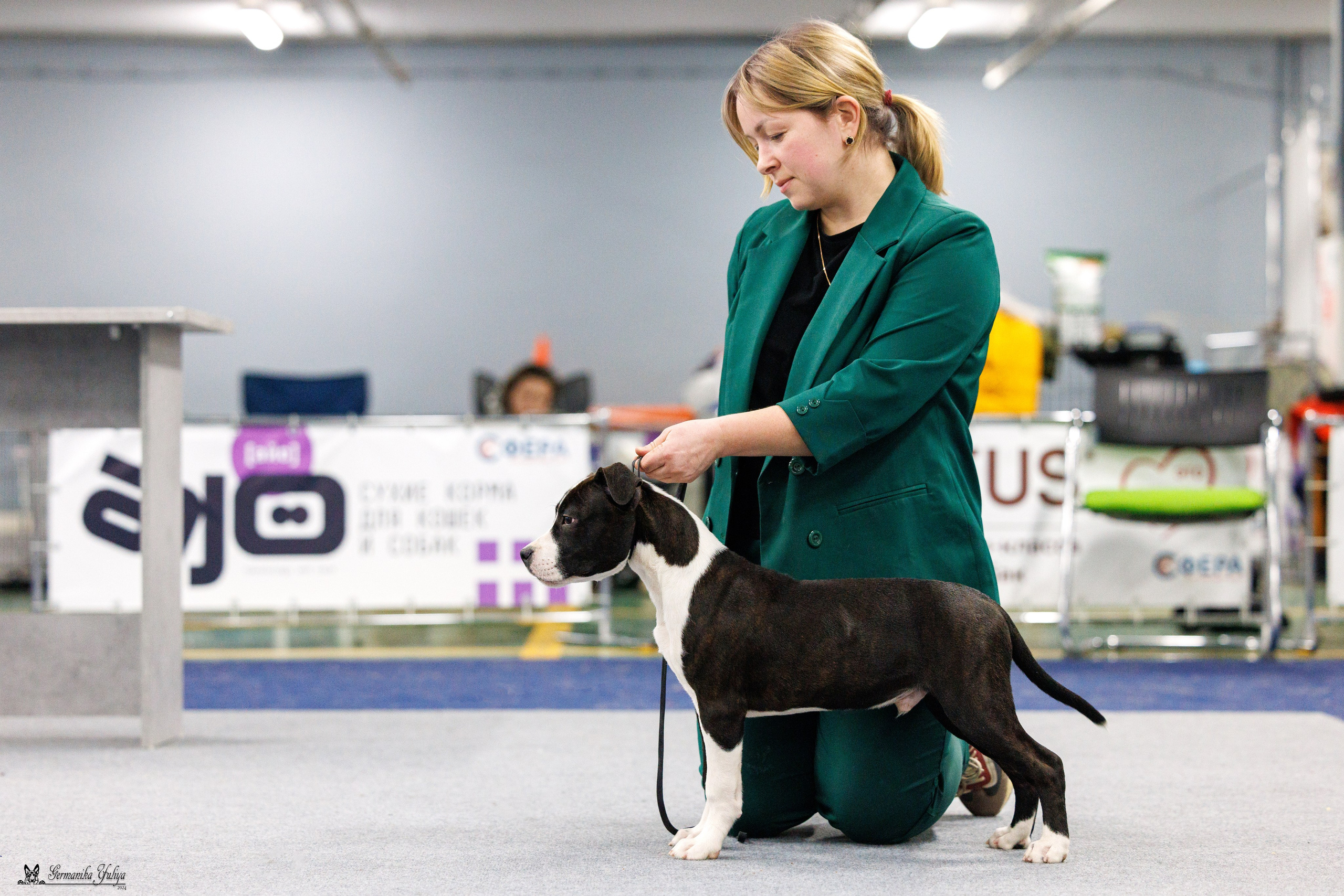 Сфера 28.01. и 4.02.2024. Фотограф-анималист Юлия Германика