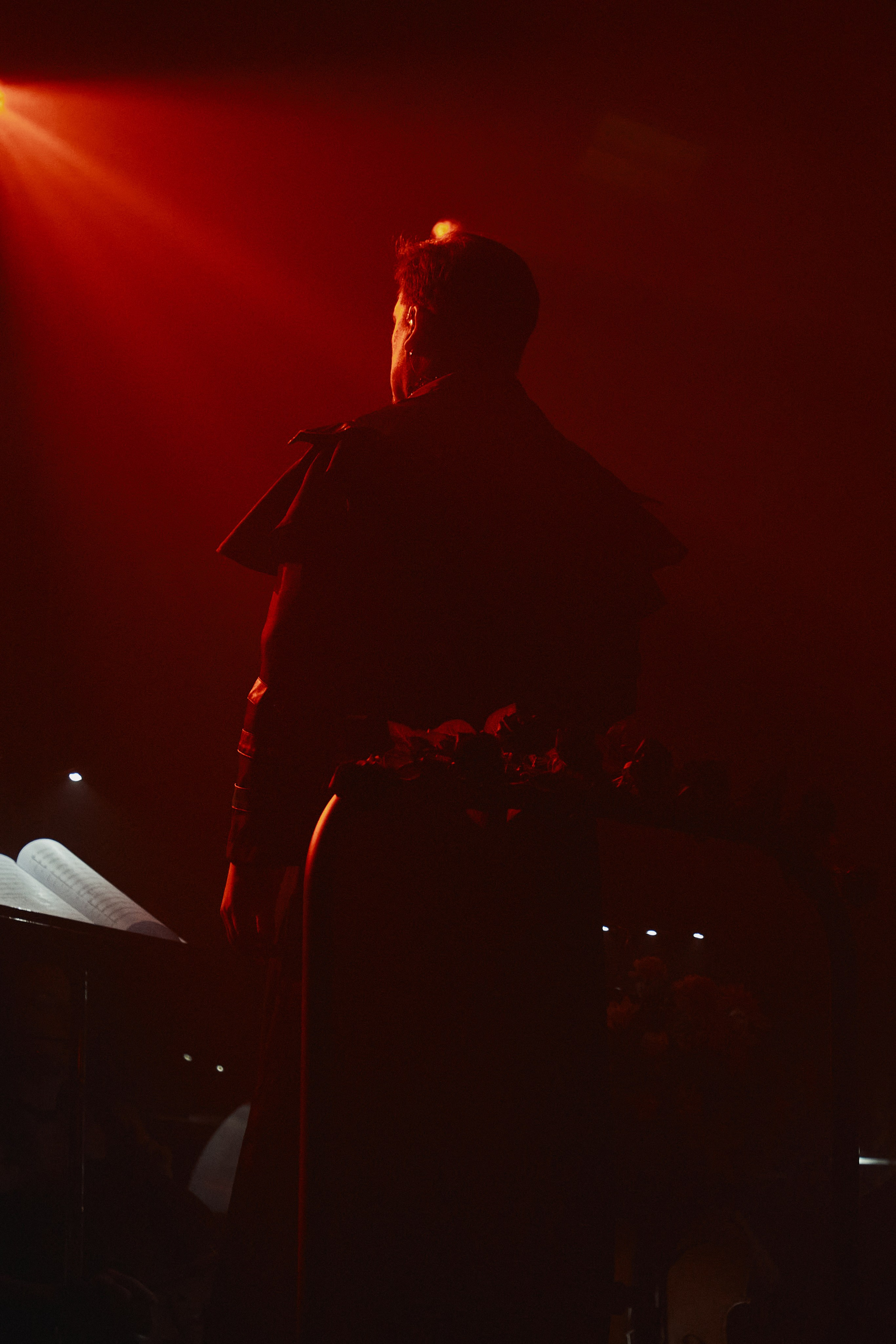 Saphath. «Симфония пепла»