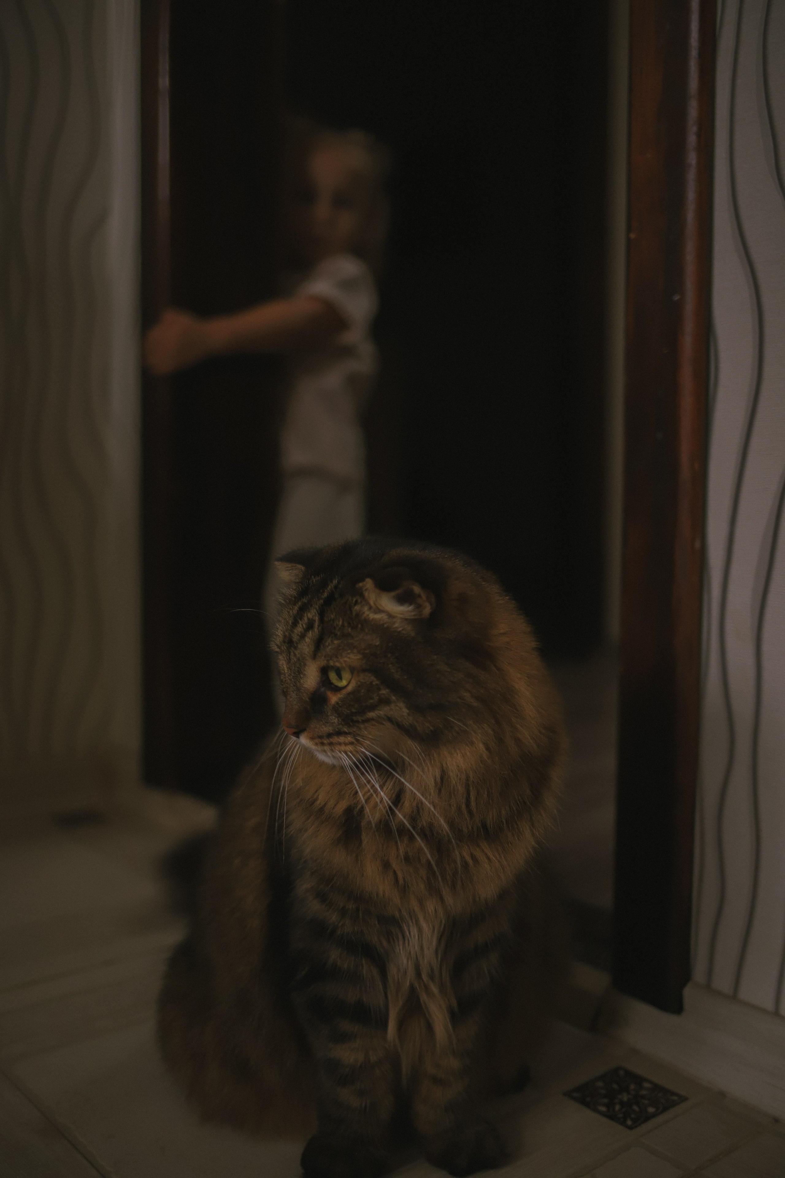 Семьи. Семейный фотограф в Ставрополе Кристина Ткаченко