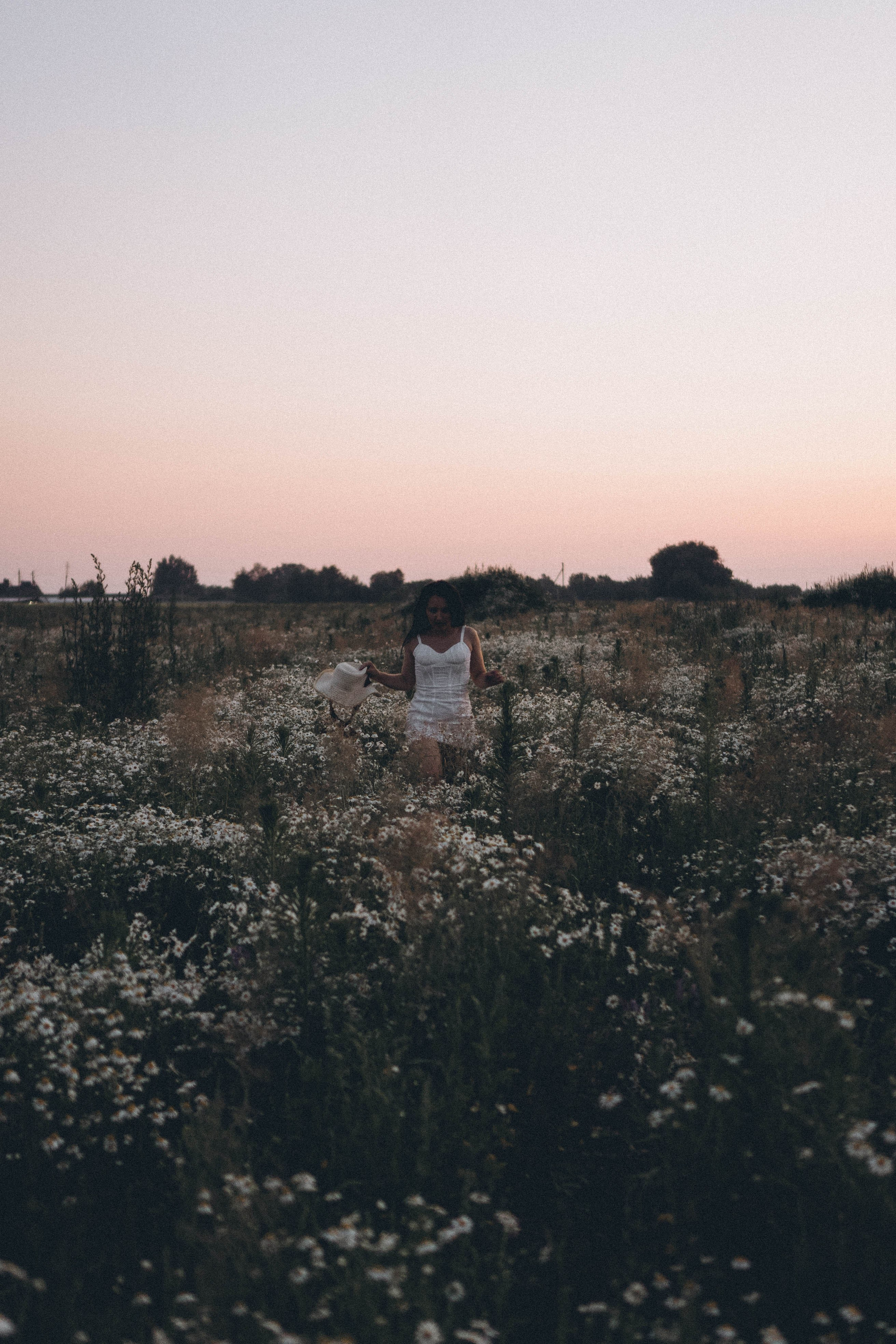 Ромашковое поле. Профессиональный фотограф, Санкт-Петербург — Виктория Богомолова